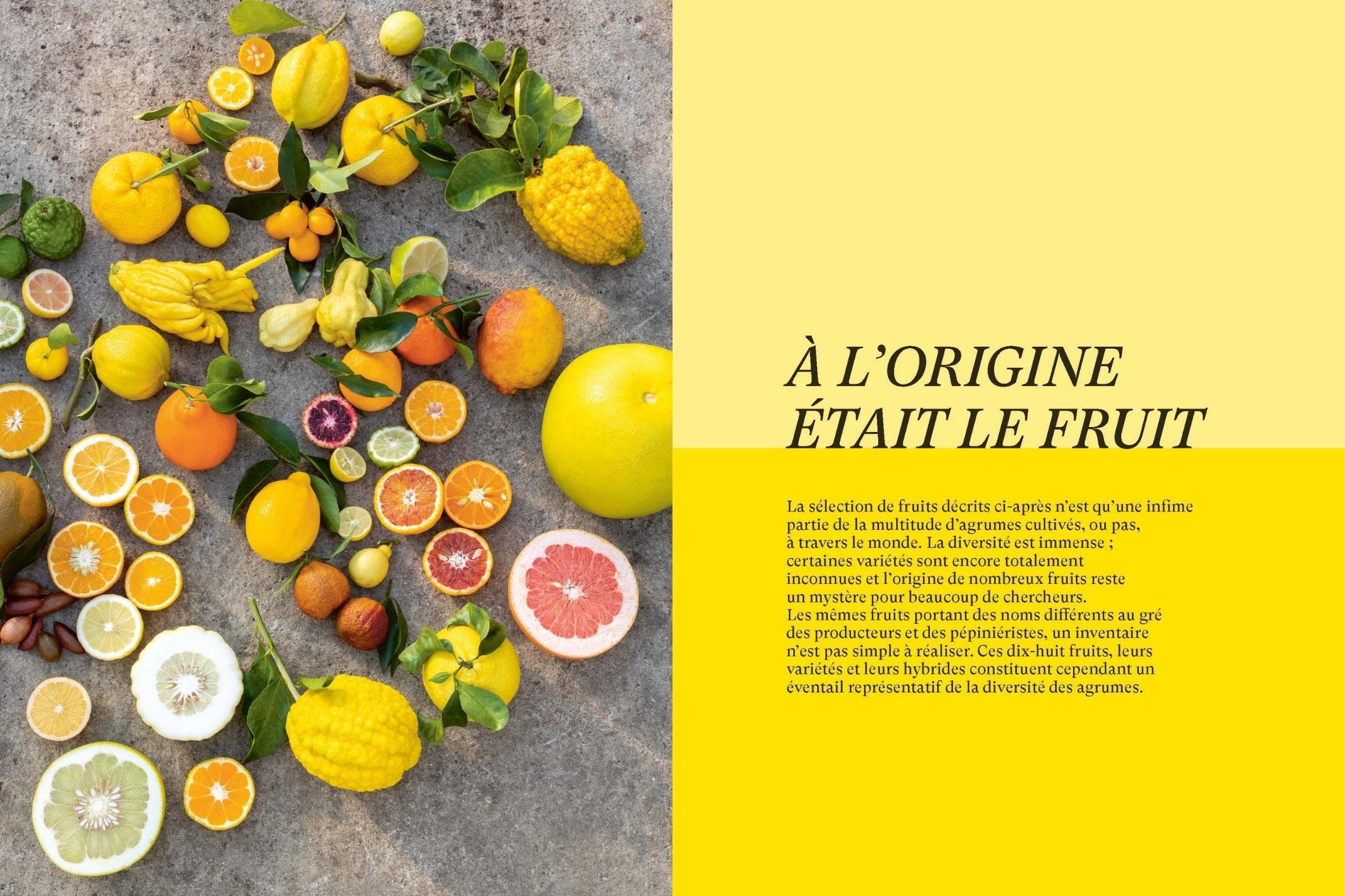 Le Grand livre des agrumes: Fruits - Techniques - Recettes - Conseils