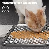 Ver la foto 6