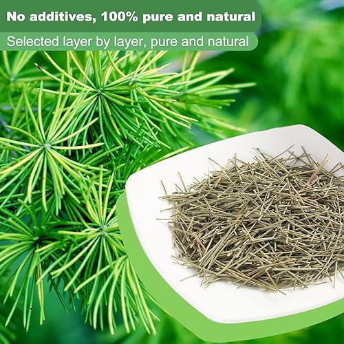 Miniatura 3 de KASVAN Té de aguja de pino orgánico (8.8 onzas)  Té de aguja de pino blanco en vitamina C y A, fácil de usar, adecuado para relajación, inmunidad