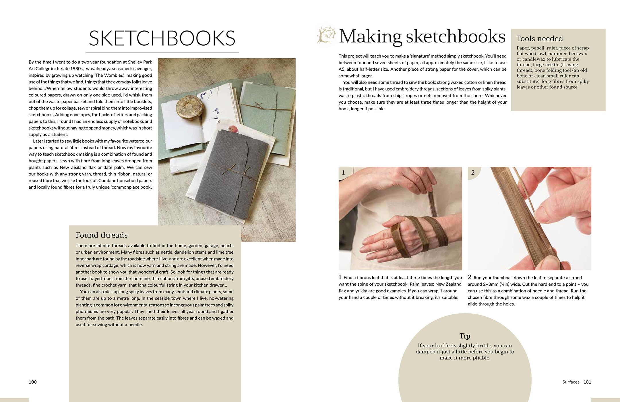 Drawn from the Wild: A Practical Guide to Making Your Own Foraged Art Materials