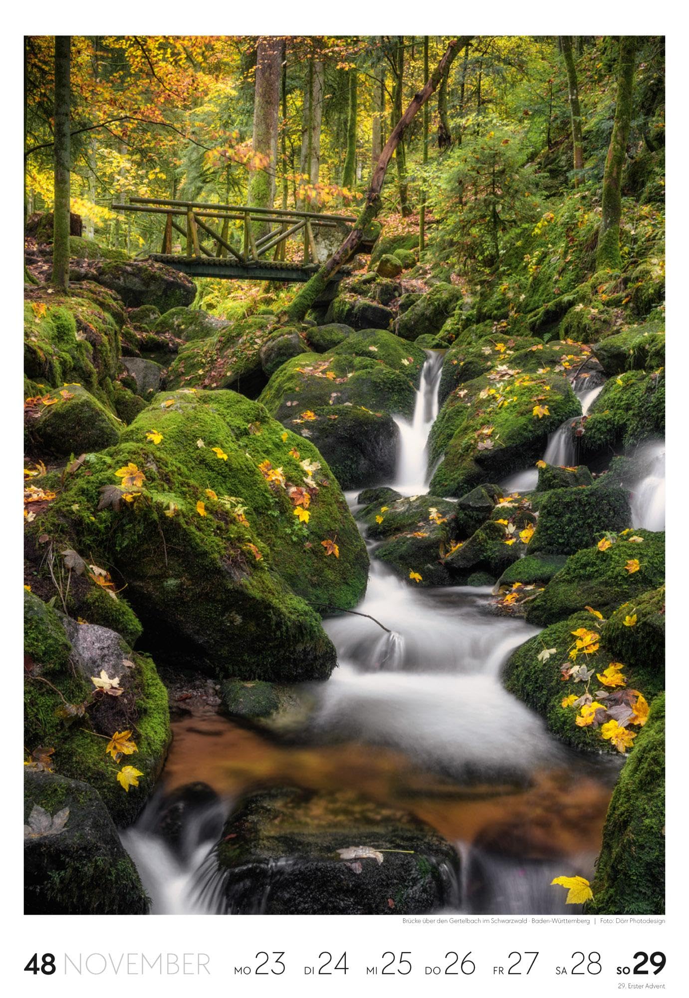 Natur Wochenkalender 2026 | Natur-Kalender mit 53 großformatigen Bildern im Hochformat (29x42 cm) | Heimische Flora und Fauna