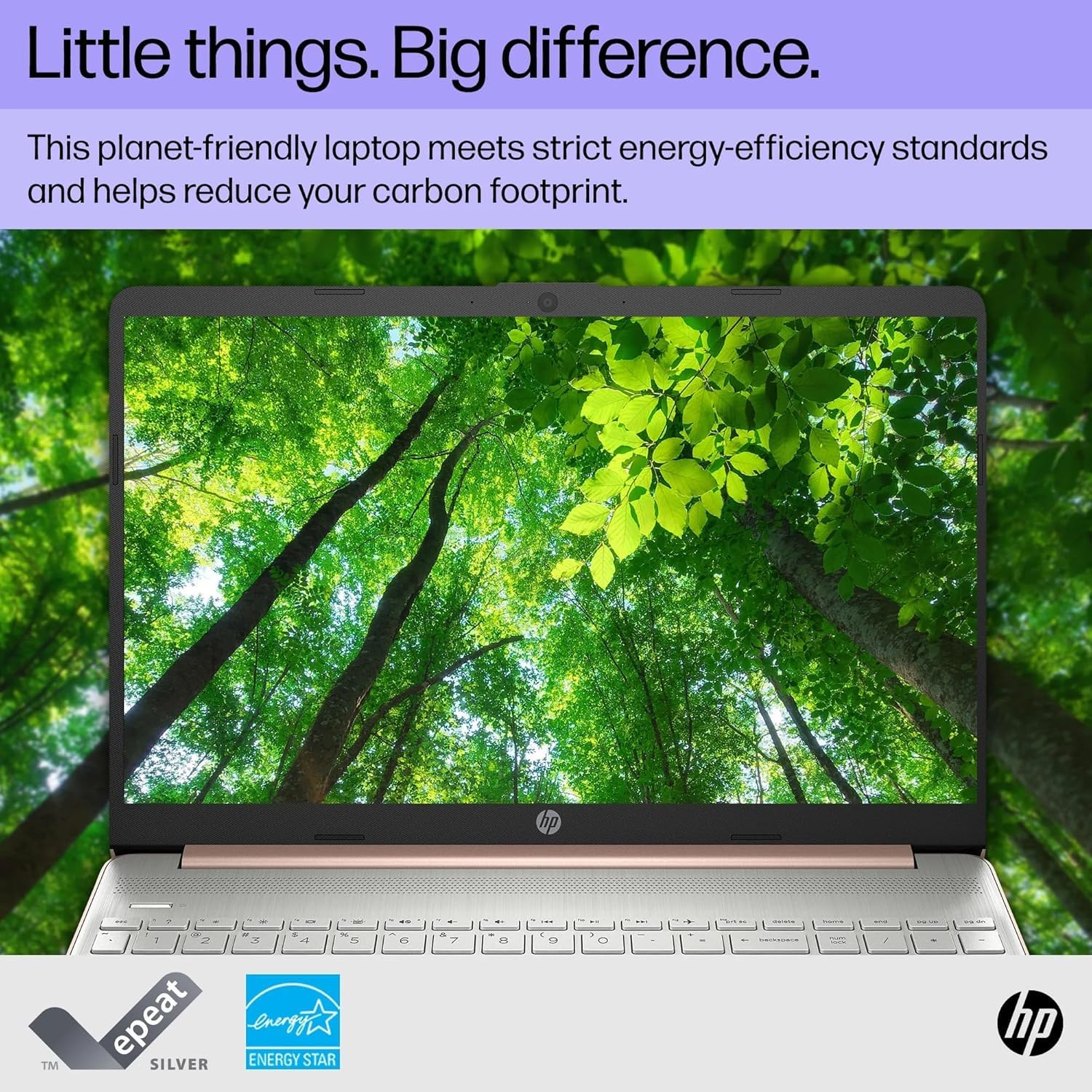 Amazon.com: HP 15.6