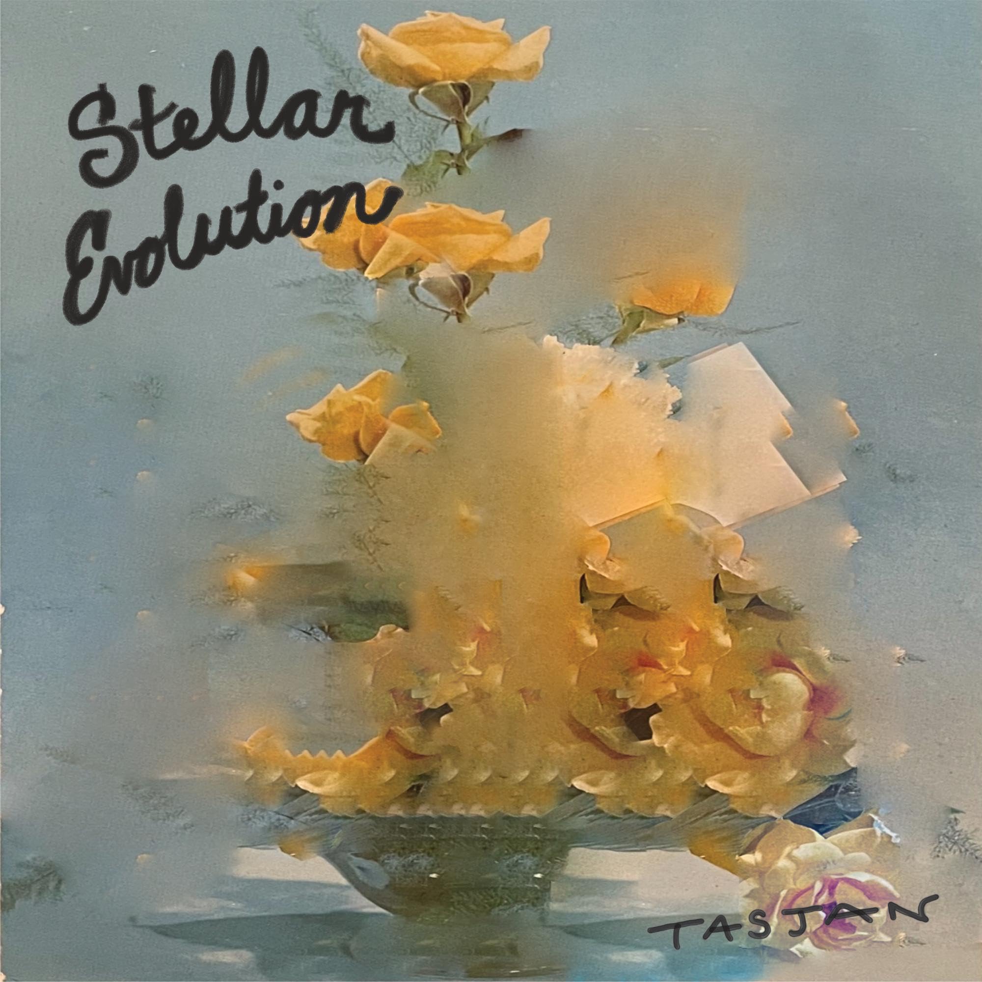 Stellar Evolution [VINYL]