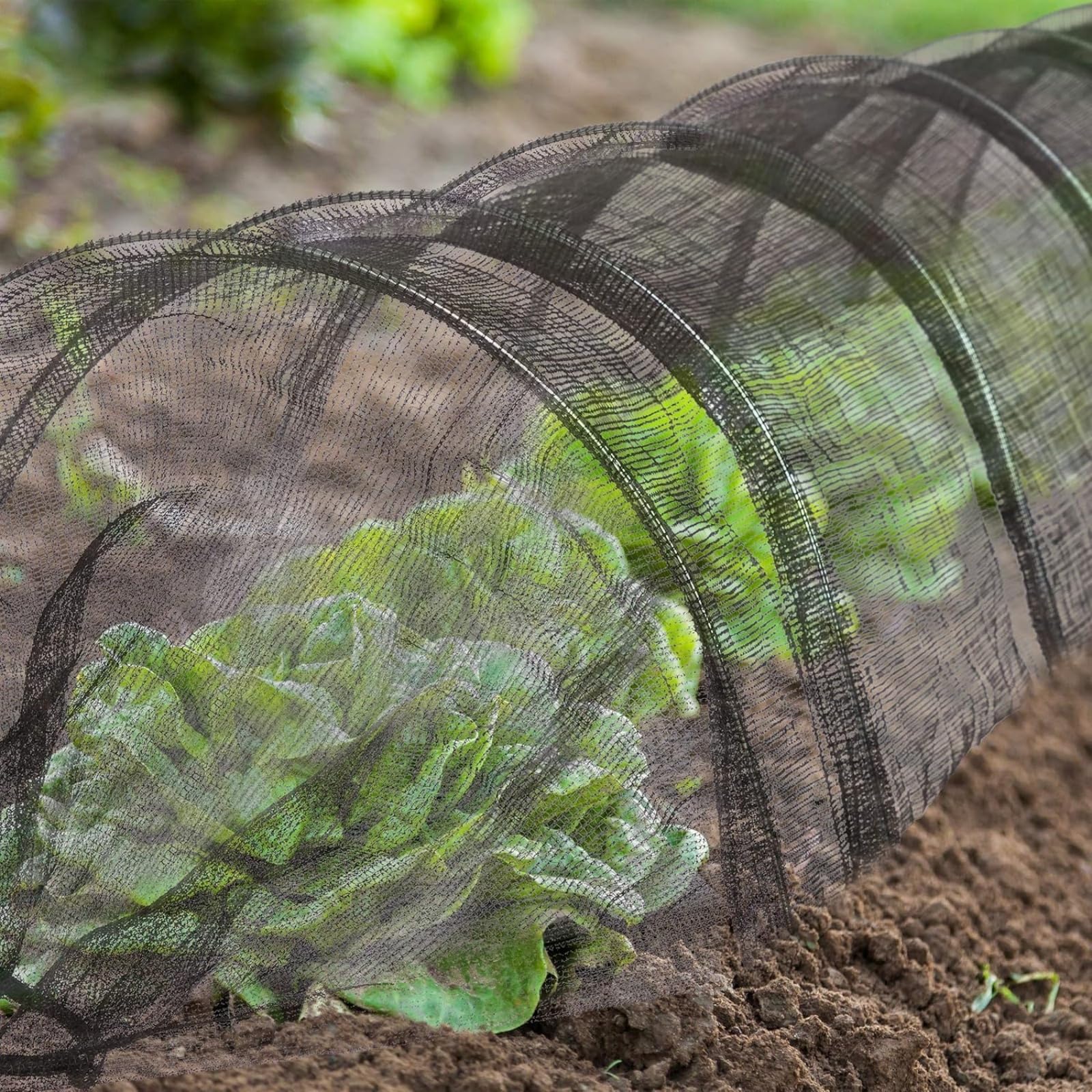 Générique Tunnel de Plantation agricole 300 x 45 x 45 cm en Plastique Noir avec Filet pour Jardin Potager Protection Contre Le Gel Serre sans Support,Filet Tunnel Jardin Potager(3 PCS)