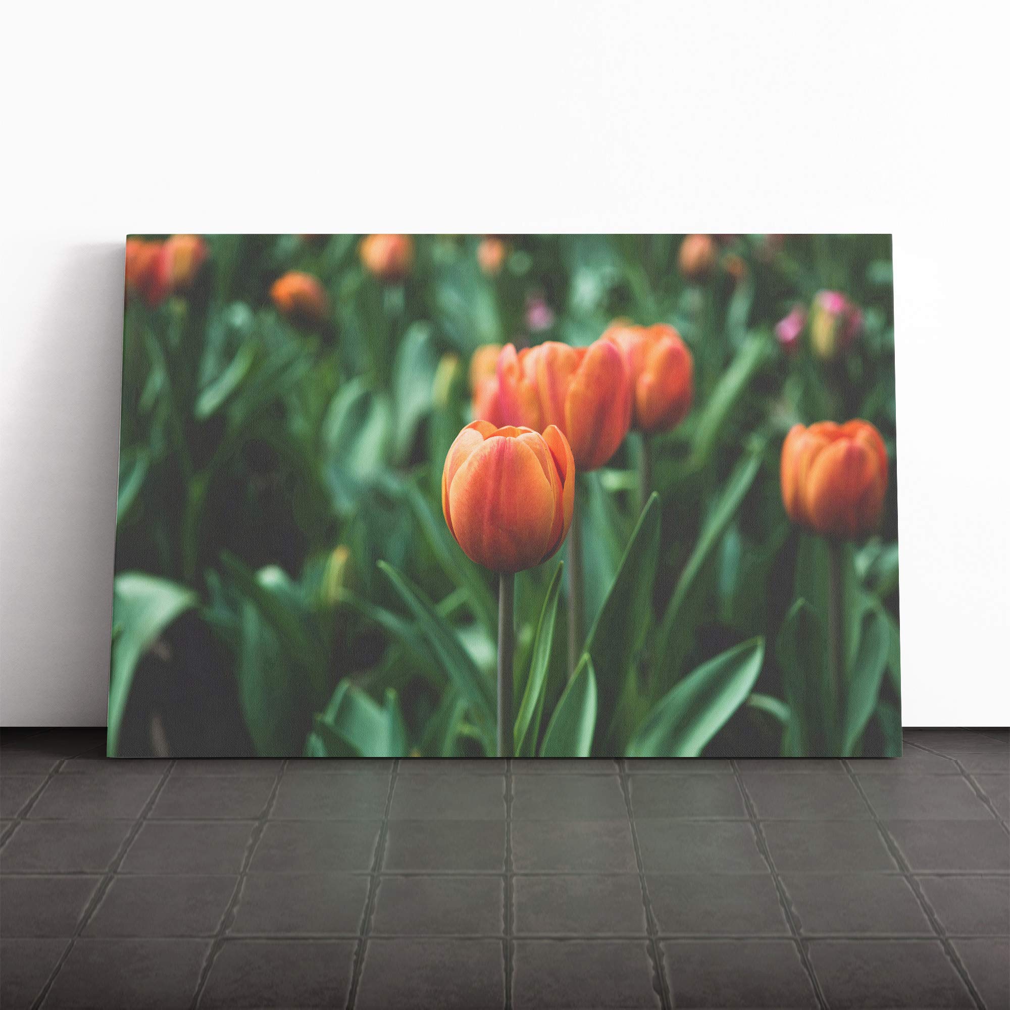 Tulip Flowers Canvas Print | Gallery Wrapped 30mm Frame Wall Art | 30x20 inches | Ready to Hang | Modern Floral Picture | Living Room Bedroom Lounge Office