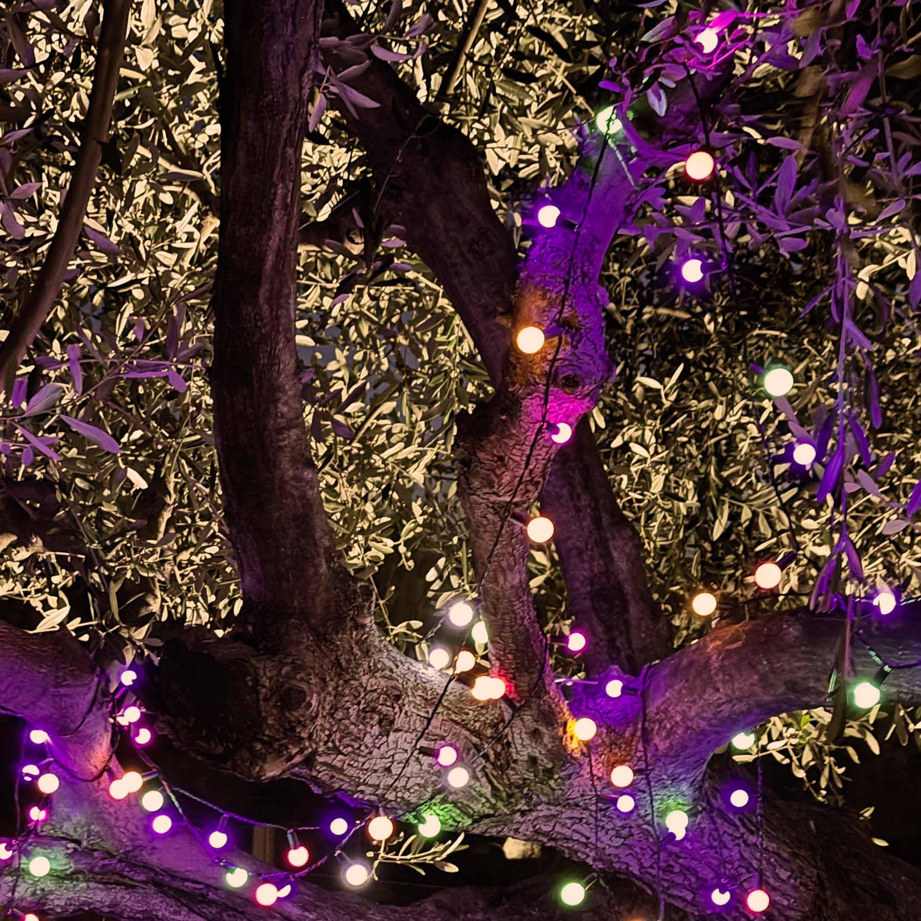 BILLY 2 Stück Solar-Lichterkette, 100 bunte runde LED-Leuchtmittel, 10,90 m
