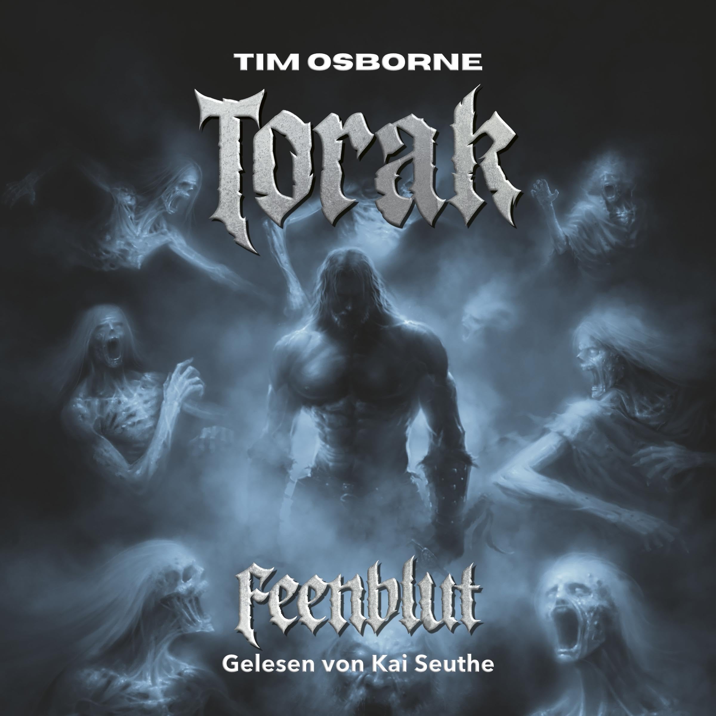 Cover art for Torak - Feenblut