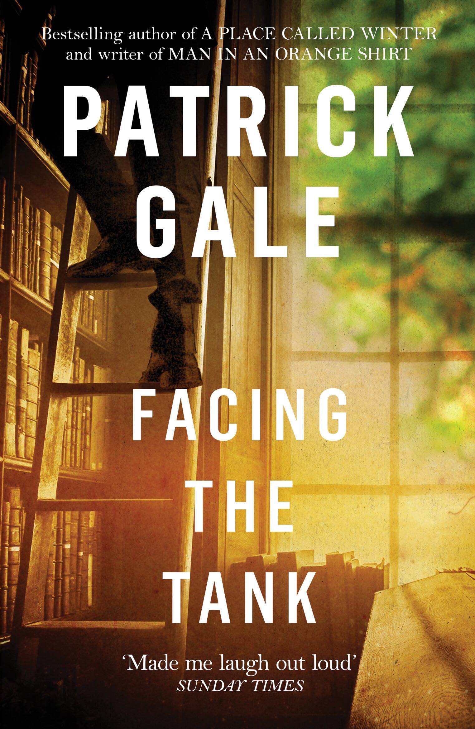 Facing the Tank: A carefully observed, comedic novel of cathedrals, clergy and genteel, country town living