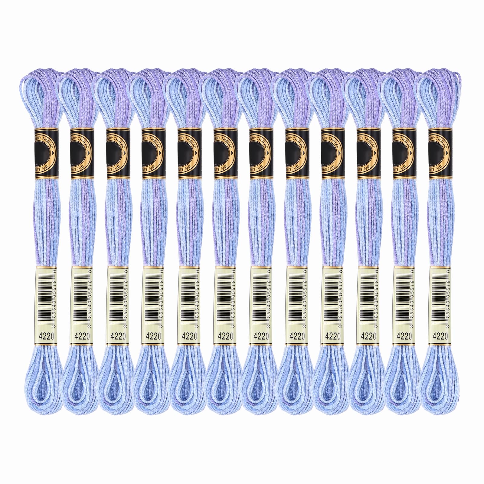 PATIKIL 12 Skeins Embroidery Floss, Gradient Colors Polyester Embroidery Threads Bracelets String for Cross-Stitch Hand Embroidery, Light Blue White