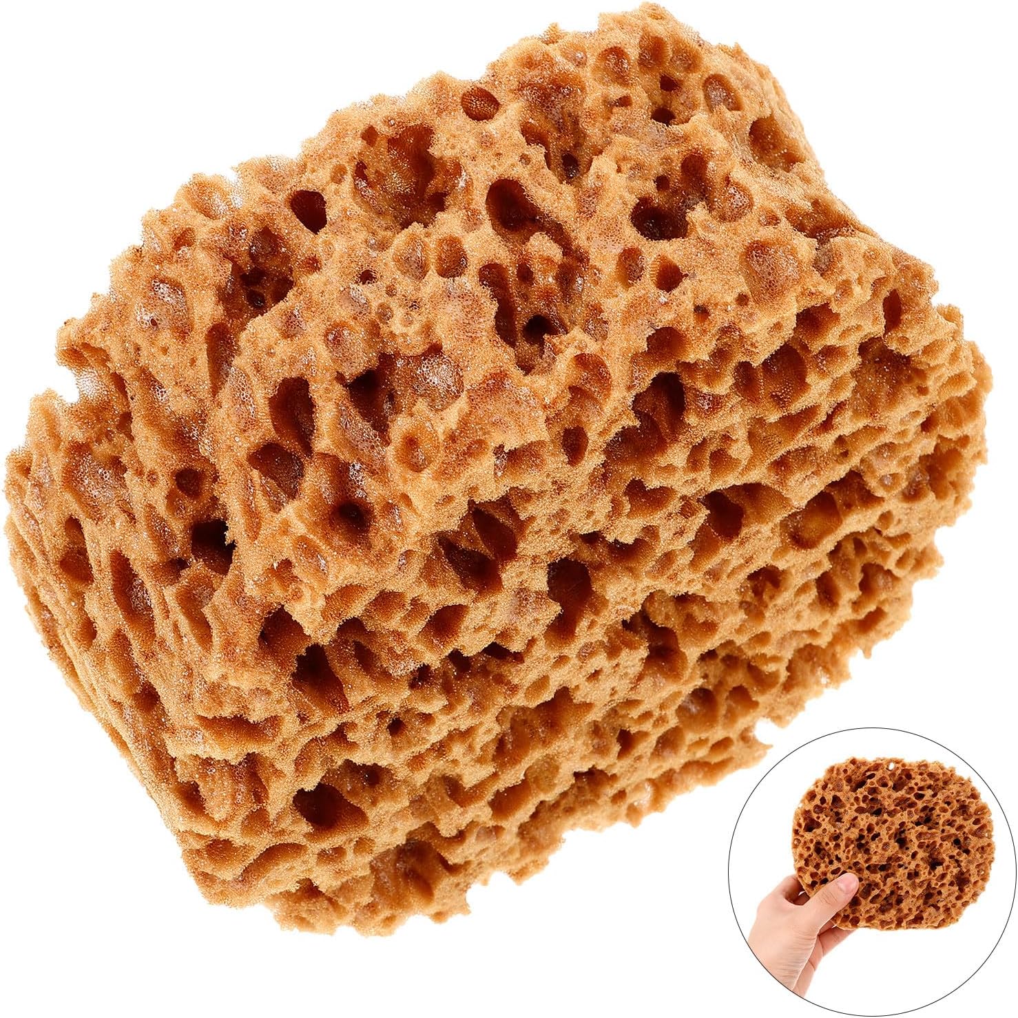 Natural Sea Sponge for Painting 6 Texturing Tool for Walls, Canvases DIY Crafts, Light Brown Drywall Sponge Brush Organic Patterns