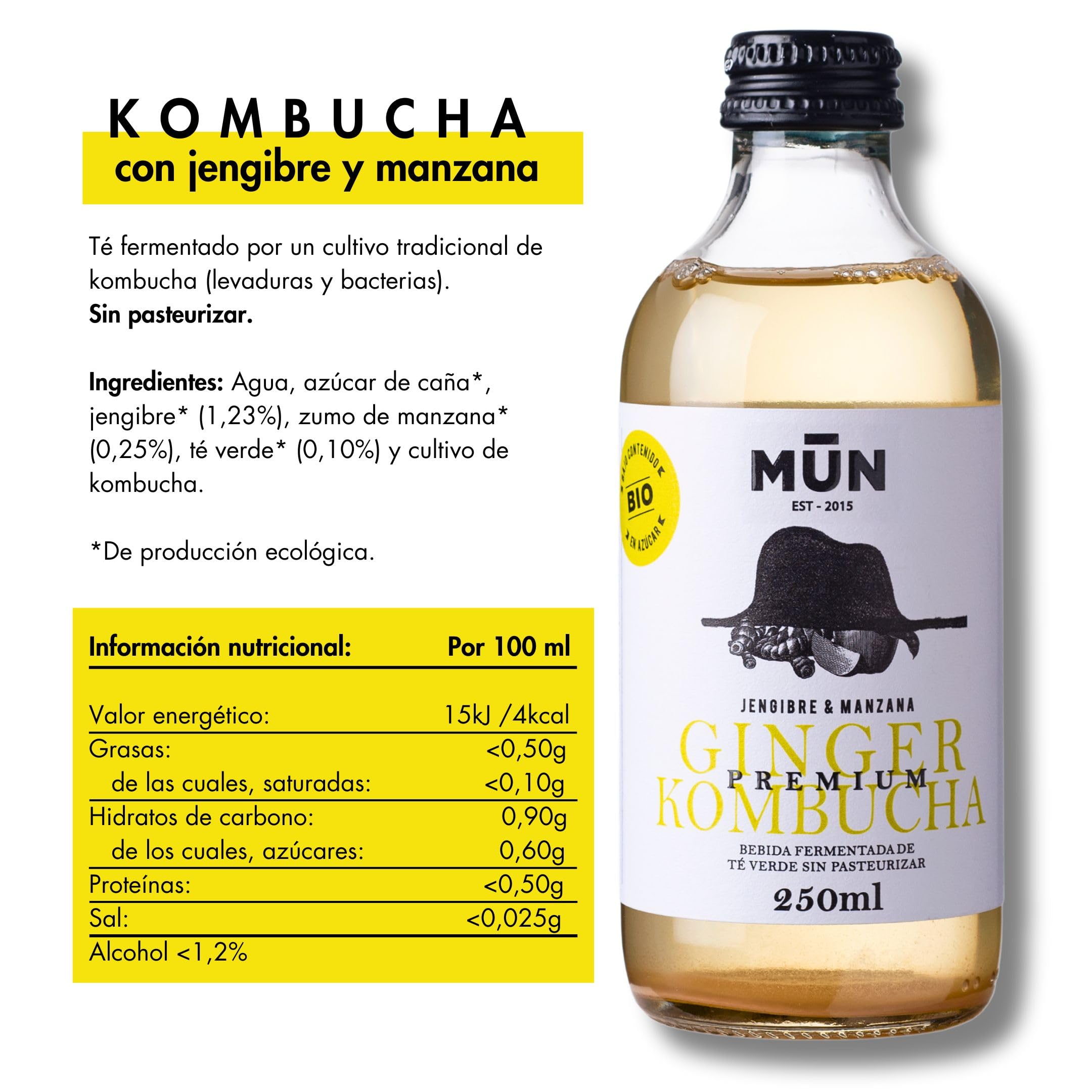 KOMBUTXA BEBIDA TE KOMBUCHA ORGANICA - Pack 12x250ml | Sapori Misti | Bevanda Energetica al Tè Fermentato Biologico | Senza zuccheri aggiunti