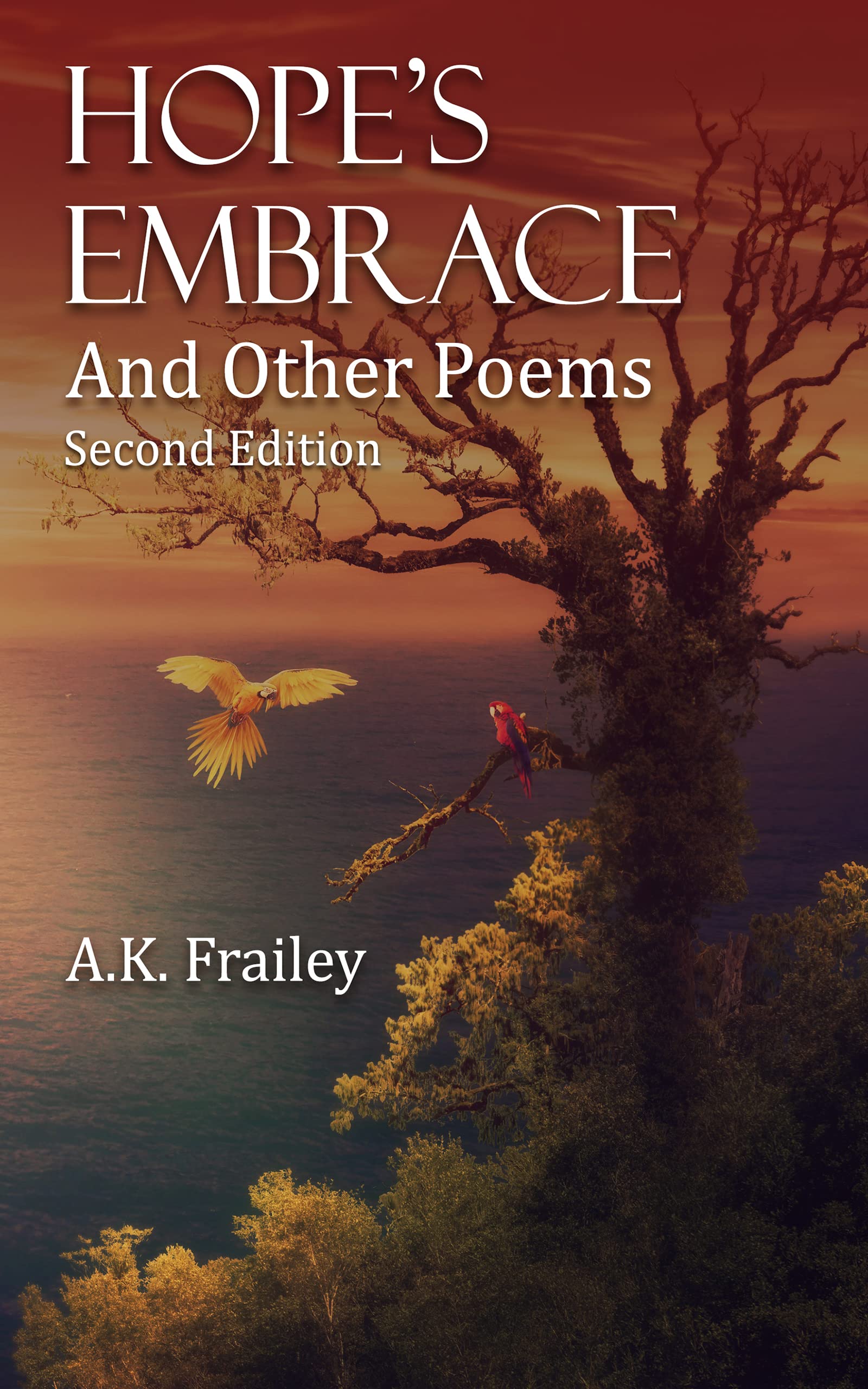 Hope's Embrace And Other Poems
