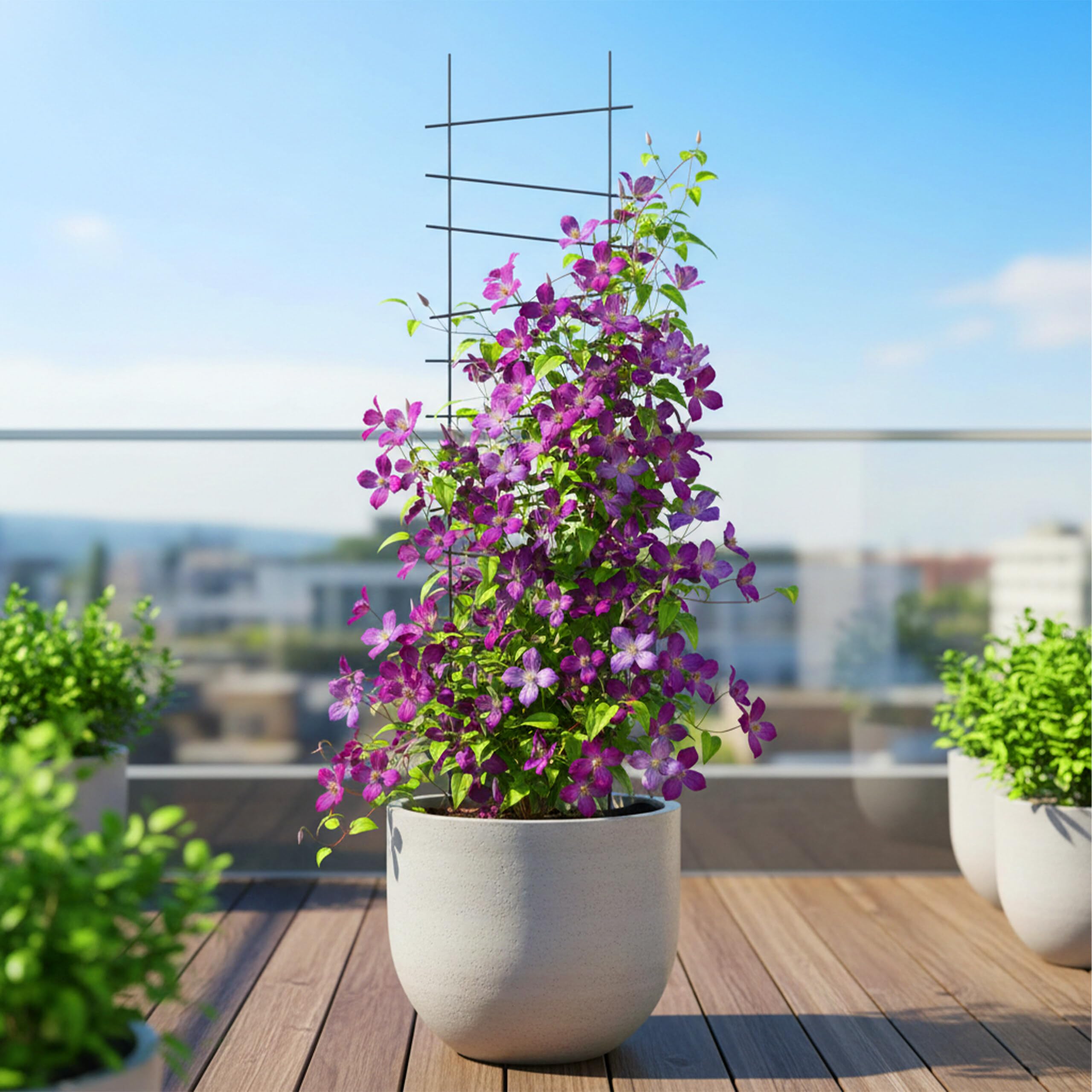 Relaxdays Griglia per rampicanti, Set 8, HxL: 115 x 28 cm, Metallo, Giardino e vasi, Nero