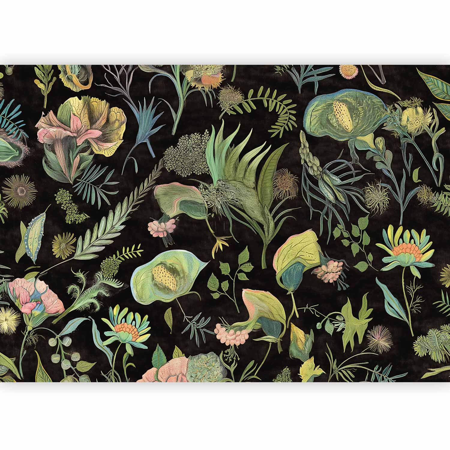 murando - Mural Wallpaper Retro 150x105 cm / 60"x42" Non-Woven Premium Art Print Fleece Wall Mural Decoration Poster Picture Design Modern - Flowers Garden Jungle Plants Black Green b-H-10076-a-a