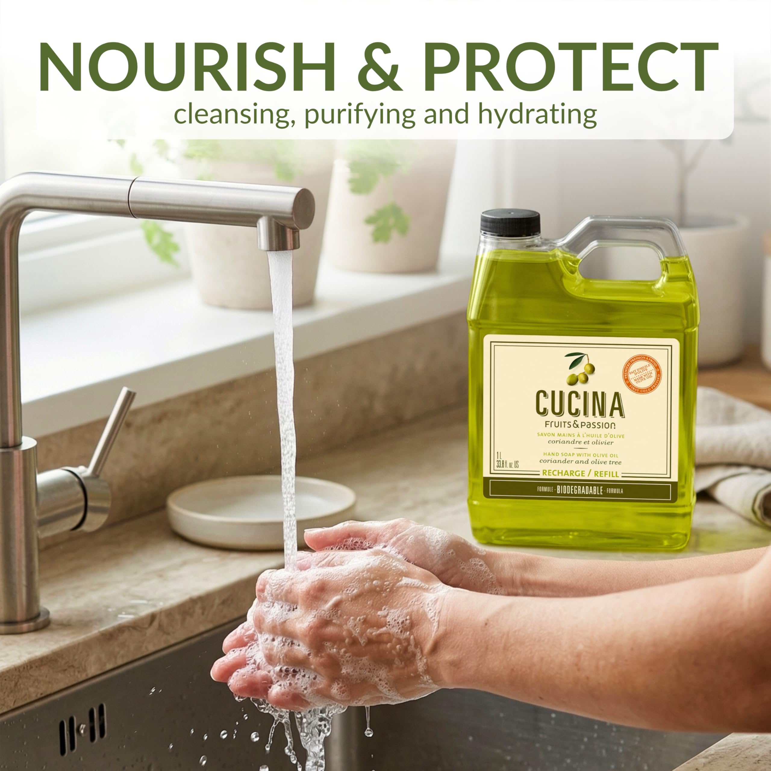 Amazon.com : Cucina Coriander and Olive Tree 33.8 oz Purifying