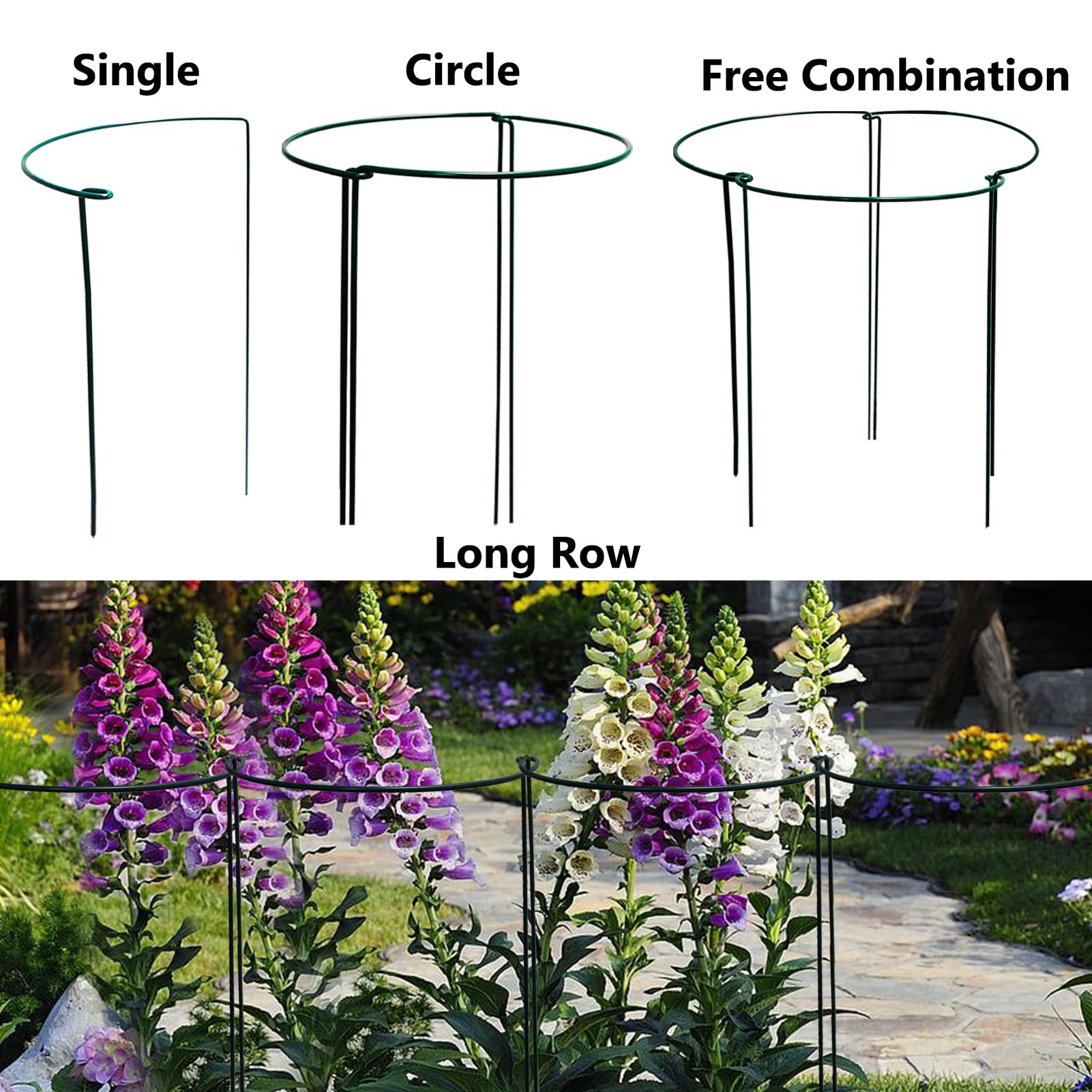 DAZZLEEX Supporti Per Piante Da Giardino 6 Pezzi - Gabbie Semicircolari Per Ortensie, Peonie, Rose E Fiori