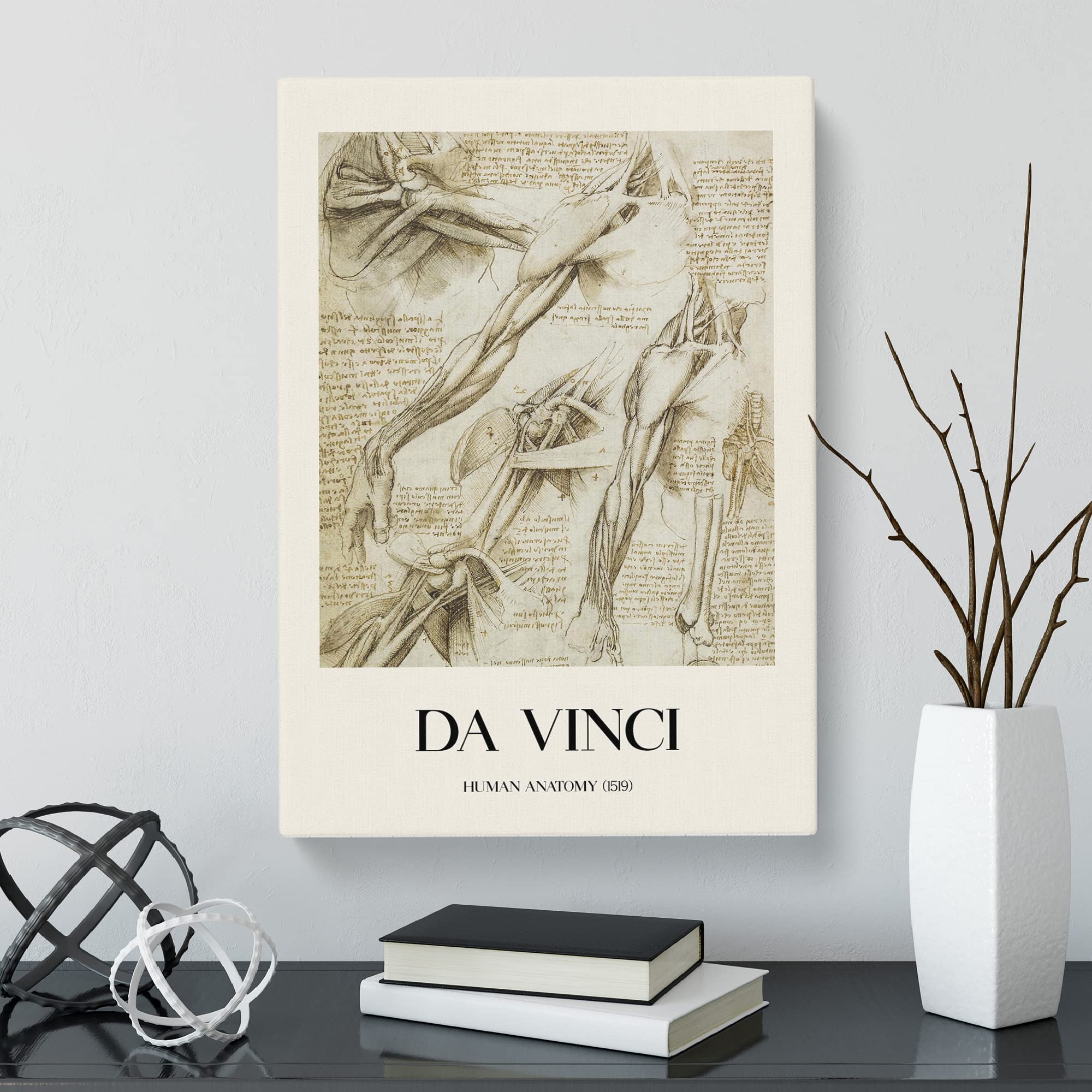Human Anatomy Vol.1 By Leonardo Da Vinci Canvas Print, Mixed, 25L x 50W cm - Image 2