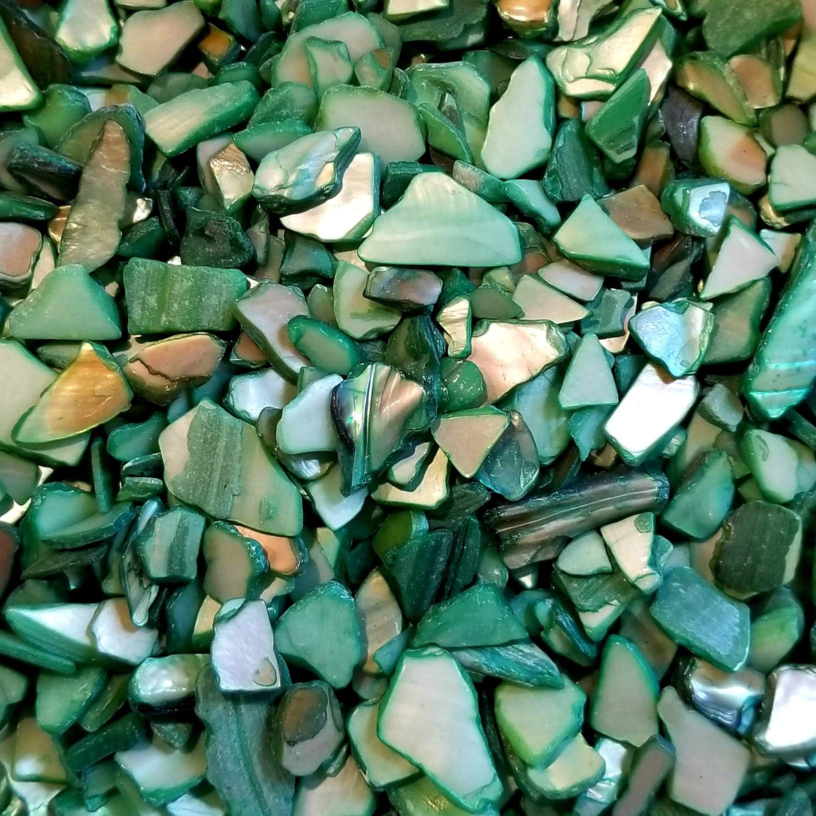 Amazon.com: BeachWalk Small Natural Crushed Shells - for Weddings, Vase ...