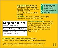 Vista 6 de Nature Made Magnesio 250 mg, 100 tabletas (paquete de 6)