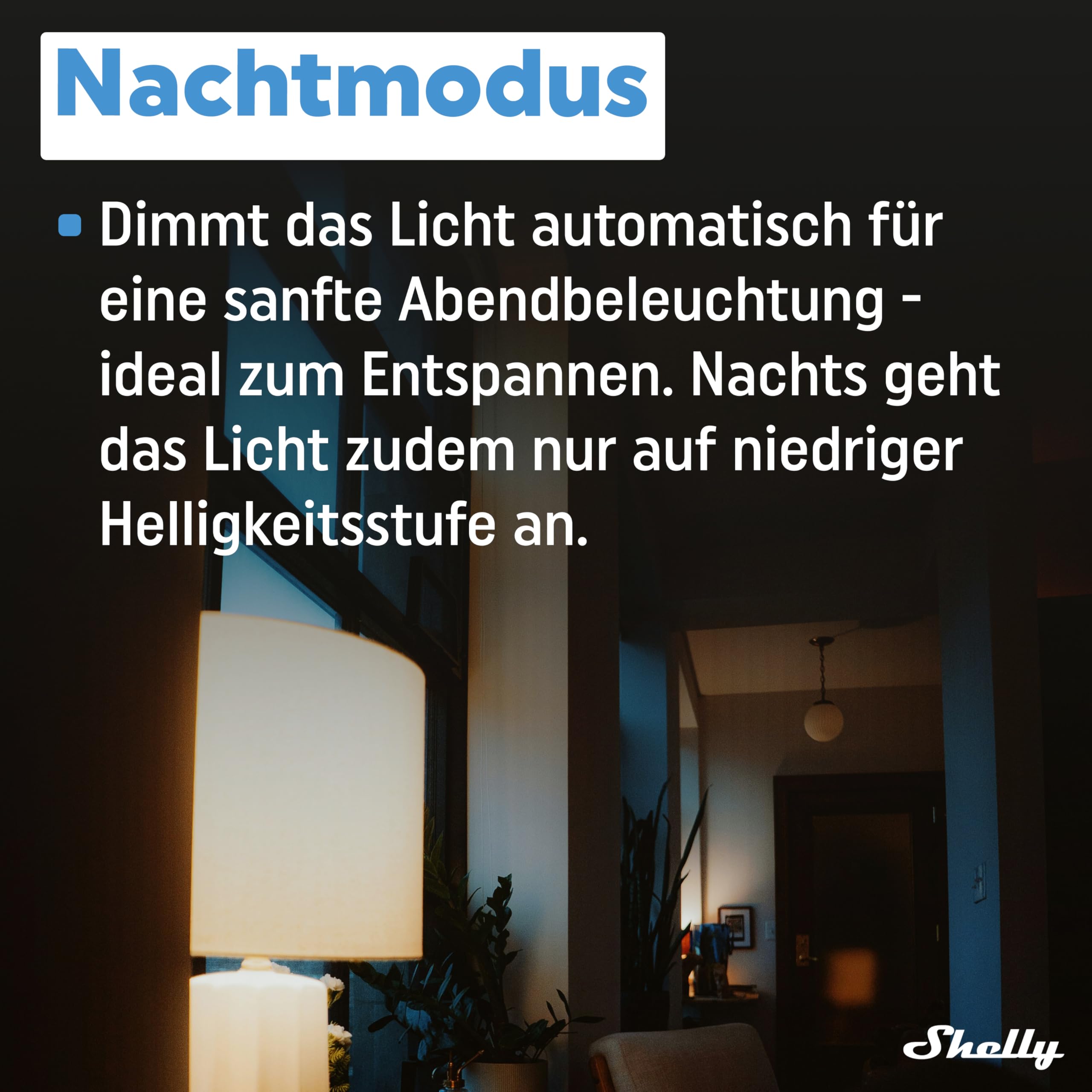Shelly Plus RGBW PM WLAN Controller für LED-Streifen 12-24 VDC Dimmer Weißes Farbiges Licht Alexa Google Home 2 Stück
