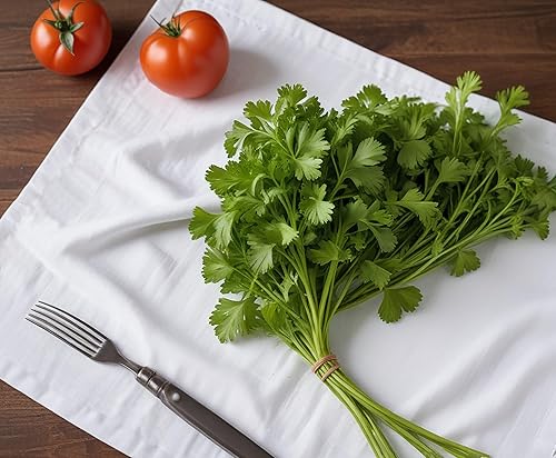 Miniatura 8 de ZOYER Toallas de saco de harina (28 x 28 pulgadas, paquete de 12)  Toallas de cocina 100% algodón  Paños de cocina multiusos  Toallas de bar ultra