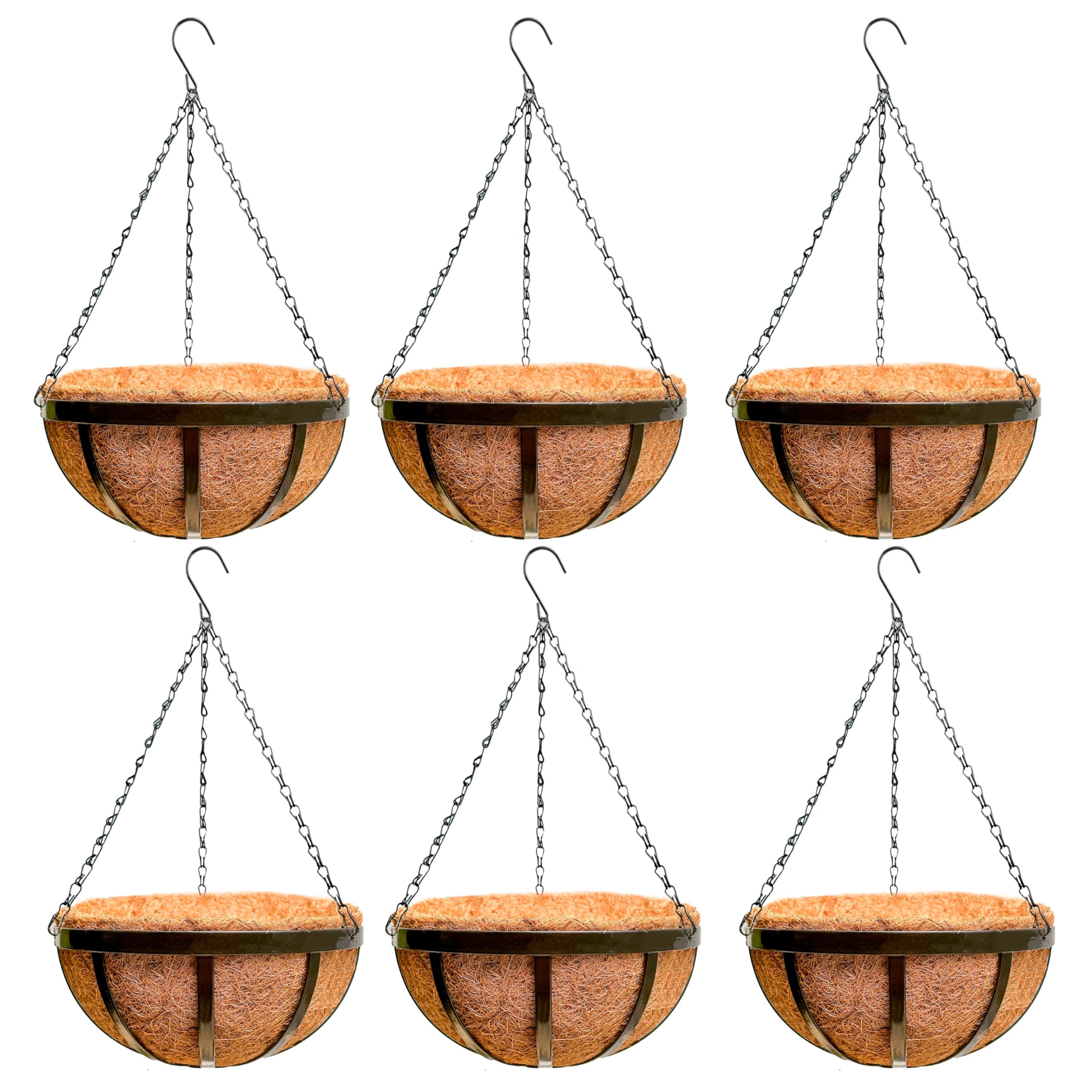 LaLaGreen 16-Inch 6-Pack