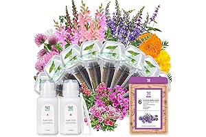 AeroGarden Flower Pods: Bring Your Home to Bloom