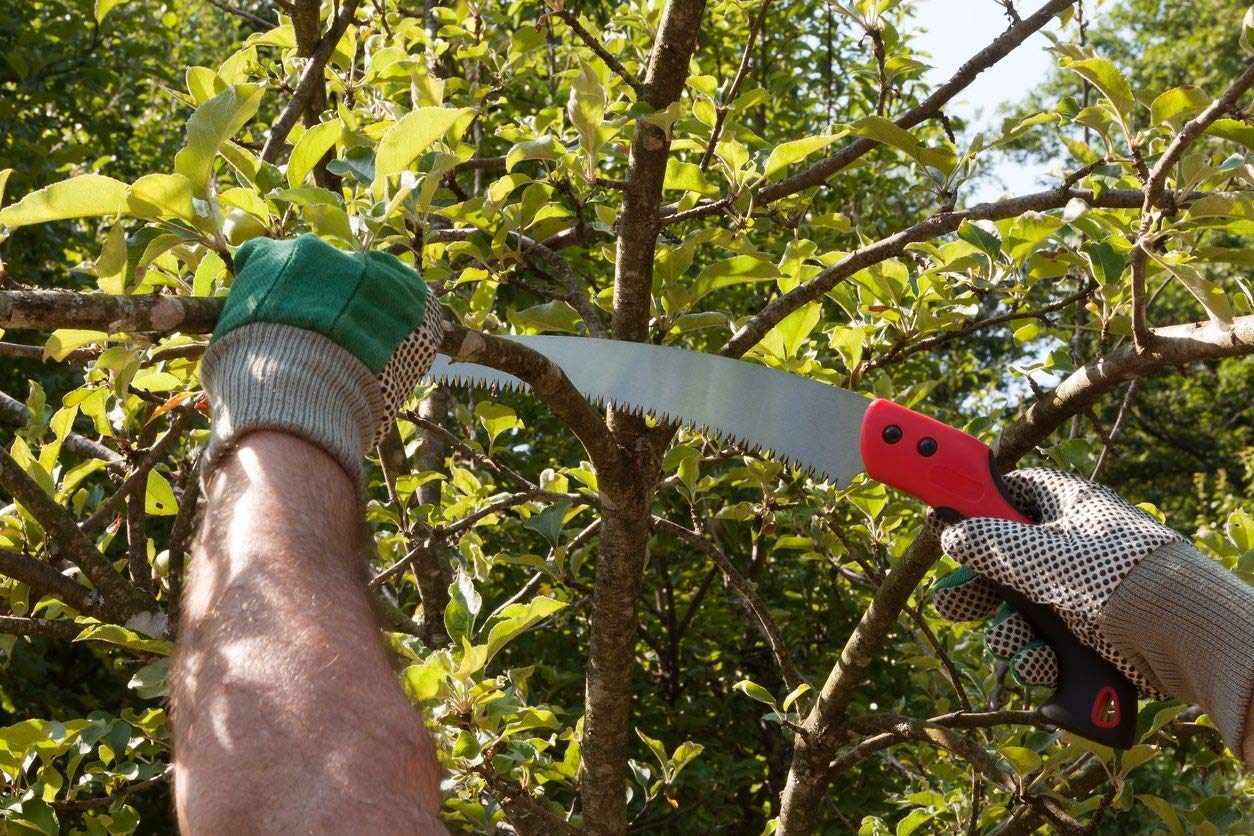 Leafypets pruning saw cutter multipurpose used steel saw with 3 edge sharpen teeth durable hand tool professional grade lightweight good grap handle pack of 1. - Image 5 thumbnail
