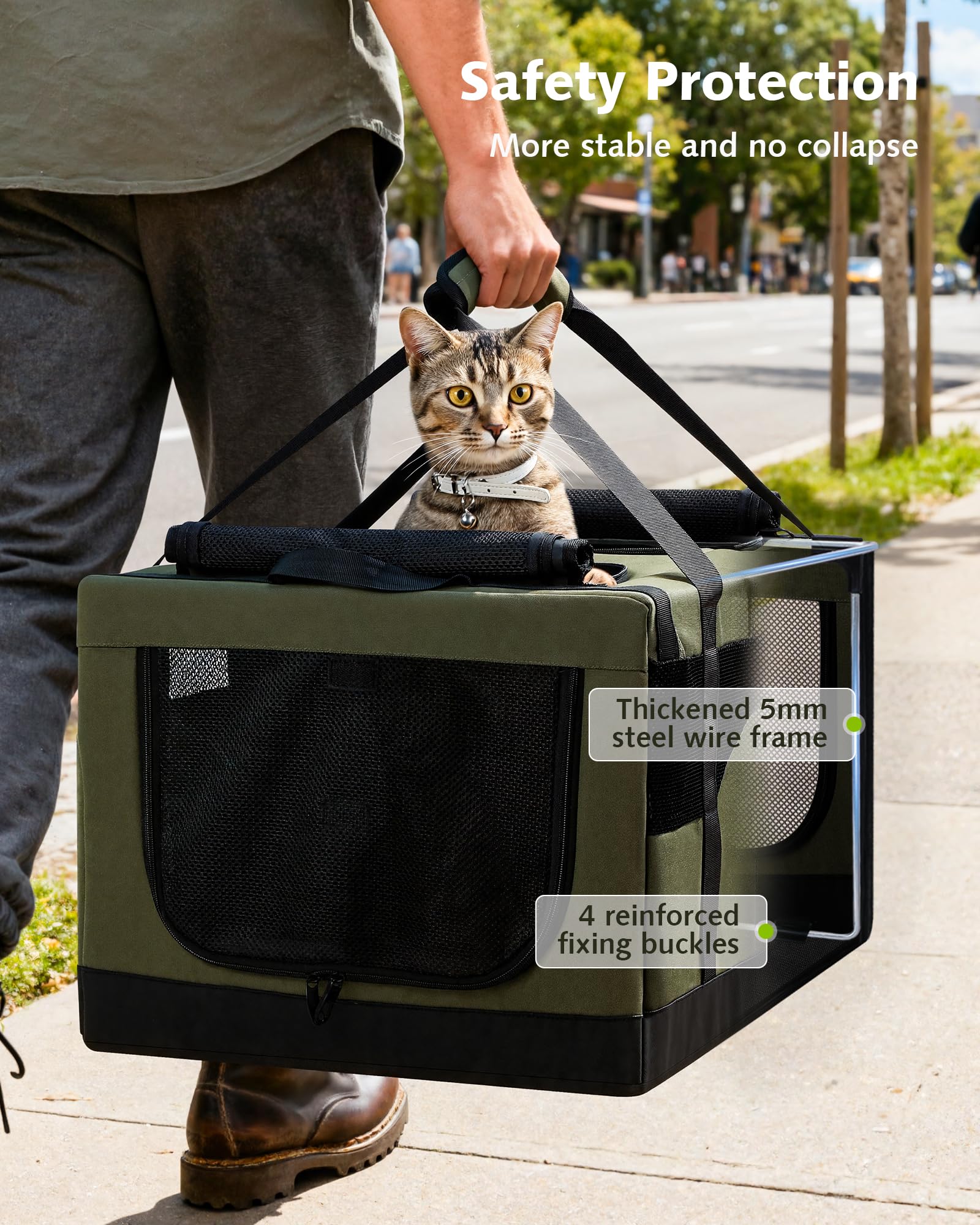 https://m.media-amazon.com/images/I/8163cmm4tIL.jpg