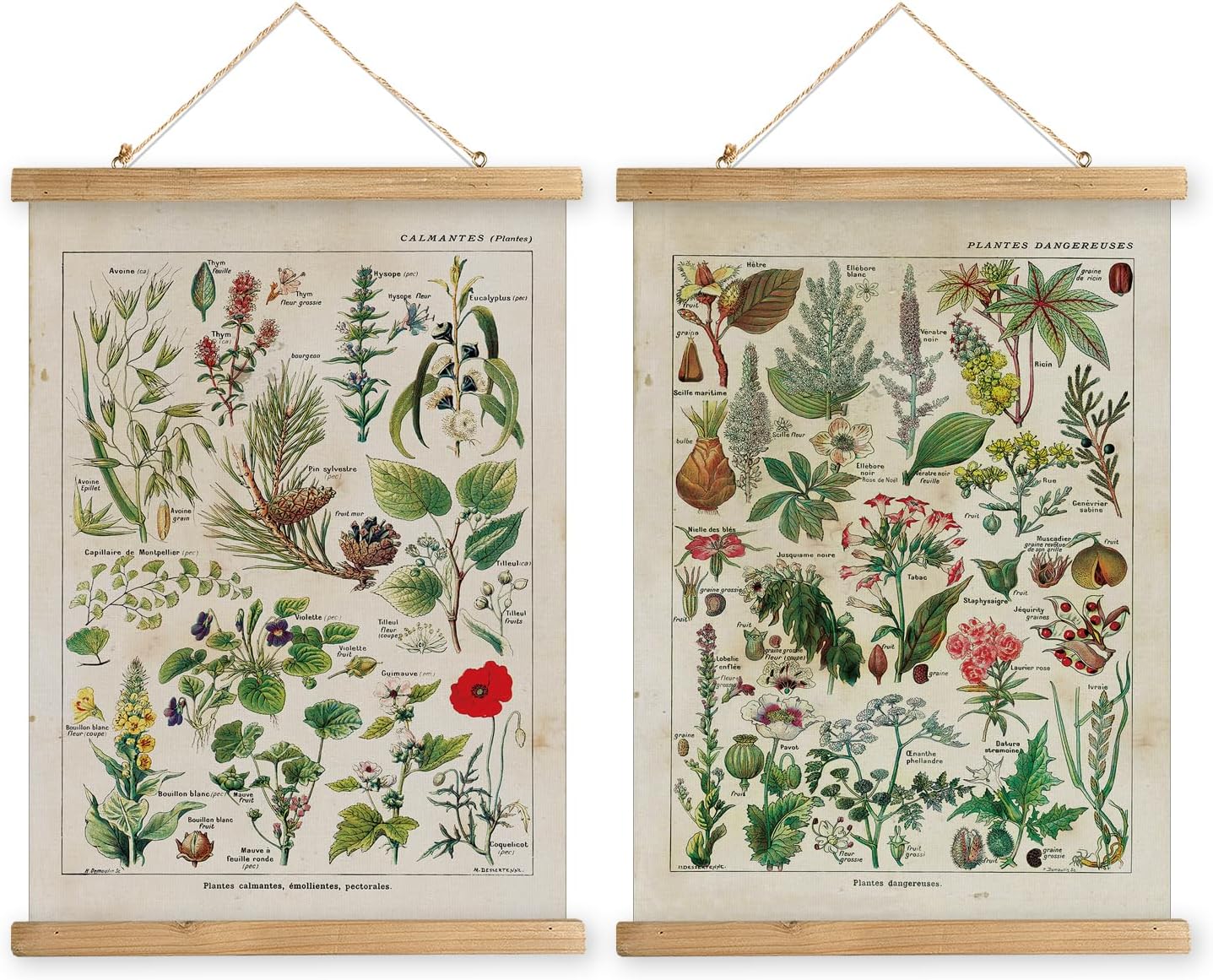 MIDEFINCH Vintage Botanical Poster Print of Poisonous and Calming Plants - Rustic Wooden Hanger Frame Linen Canvas Wall Decor for Living Room Bedroom Office - Set of 2, 16x23 inches