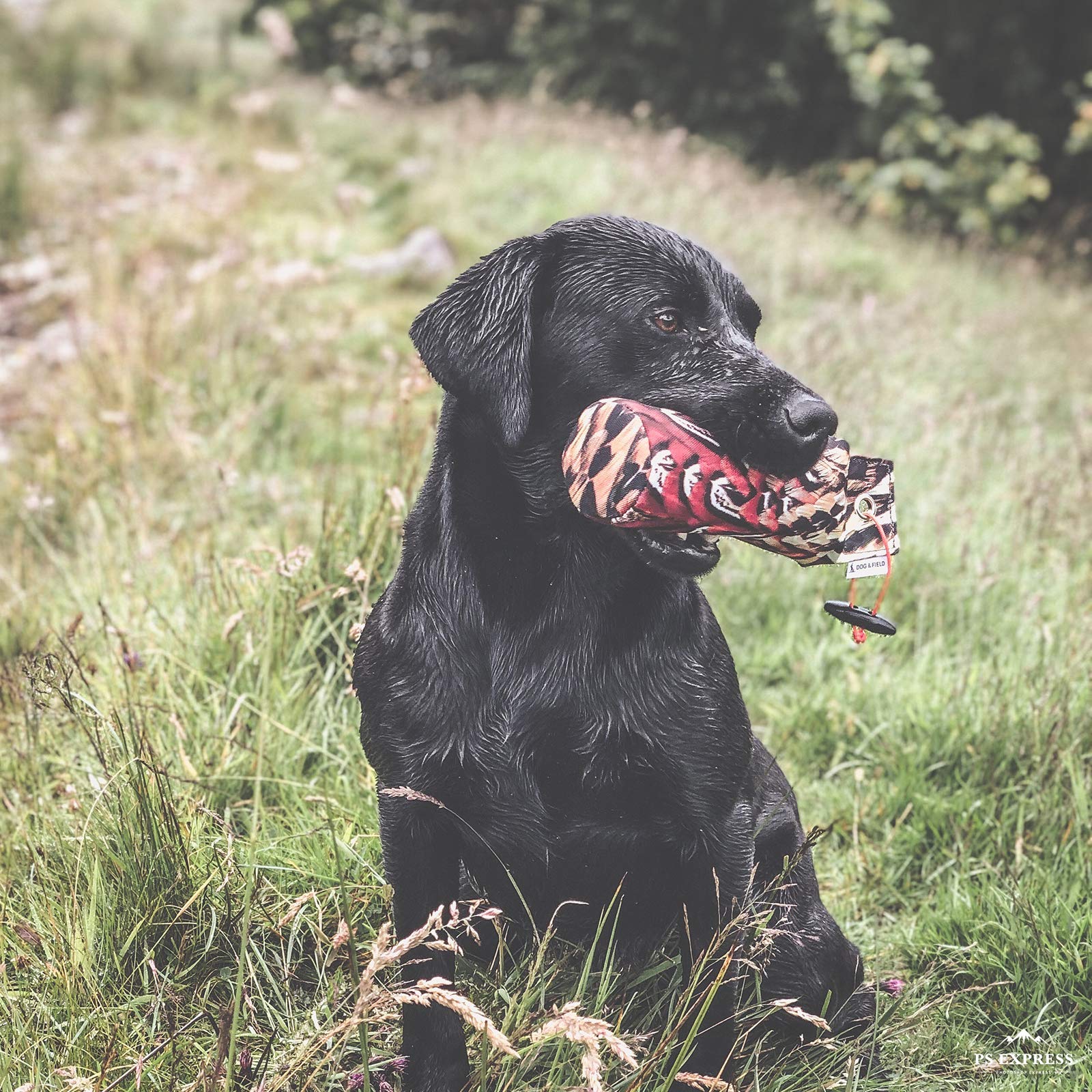 The Original Clone - Chupete Realista de Entrenamiento para Perros de Caza de Aves – Maniquí de Lona con impresión de Plumas HD para Entrenamiento de Perros y Cachorros – Equipo de Entrenamiento de