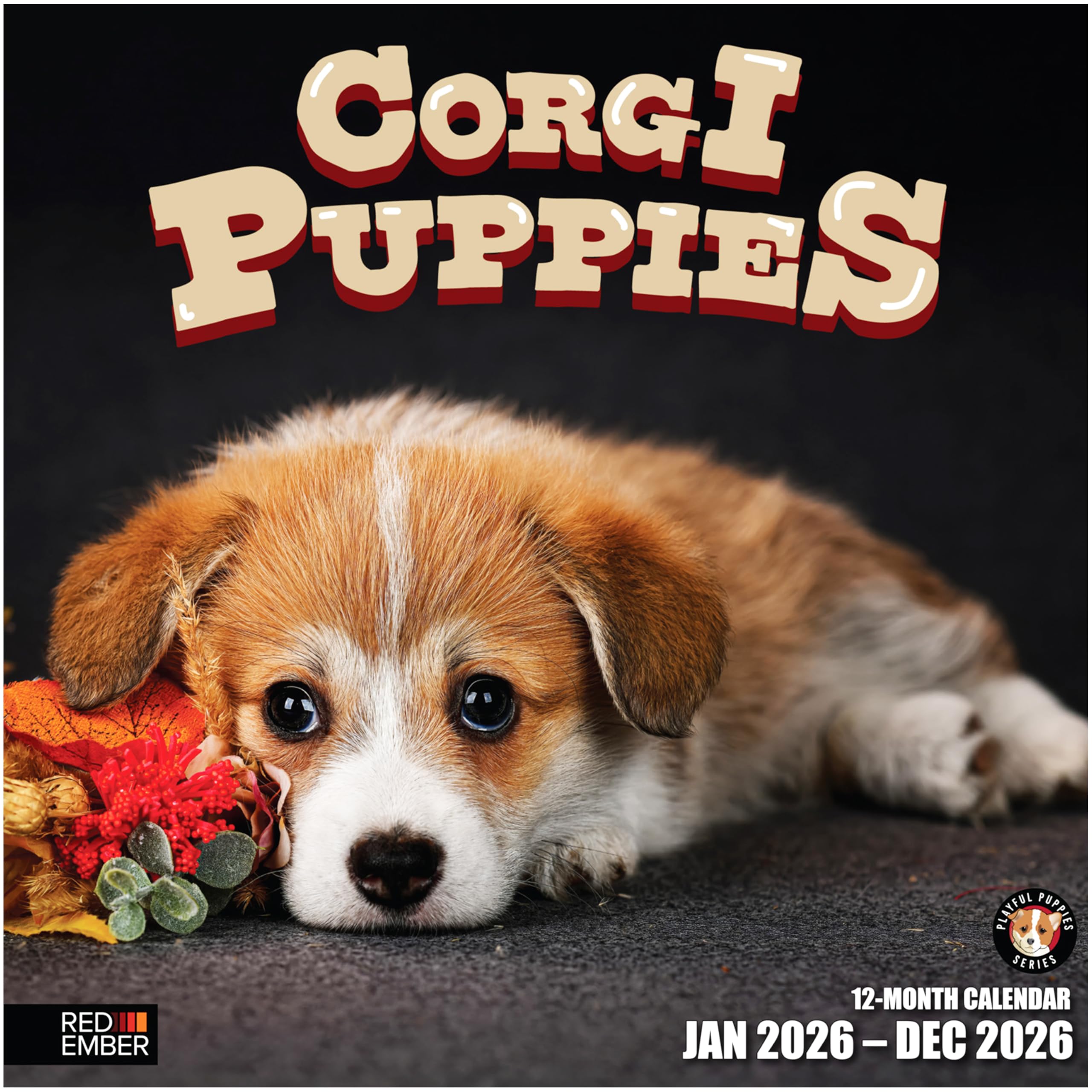 RED EMBER Corgi Puppies 2026 Wall Calendar 12 Month | 12" x 24" Open | Thick &amp; Sturdy Paper | Giftable | Cute Puppy Dog Calendar 2026
