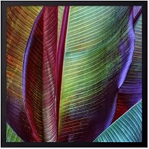 Monem Art Banana Leaf Abstract Photography Print - Colorful Tropical Botanical Pattern Poster - Wall Decor for Living Room, Bedroom or Office - 20x20 Unframed Wall Art by Francois Casanova