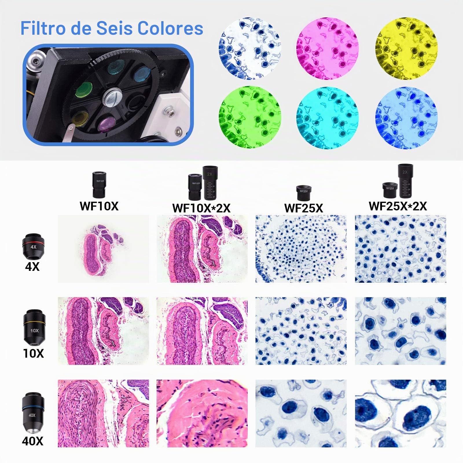 Microscopio Monocular Compuesto 40X-2000X para Niños, Adultos y Estudiantes - Microscopio de Precisión para Educación en Ciencias Biológicas con Kits - Metal y Vidrio - LED - Blanco