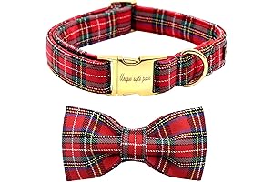 Adorable Holiday Bow Ties for Dapper Dogs