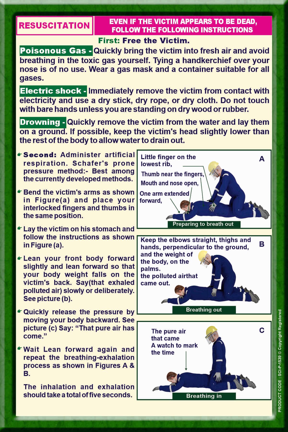 Resuscitation Educational Wall Art Poster – Large 4×3 Ft Learning Display | Classroom, School & Training Room Decor (Eco Vinyl, 2x3 Feet)-picture-42