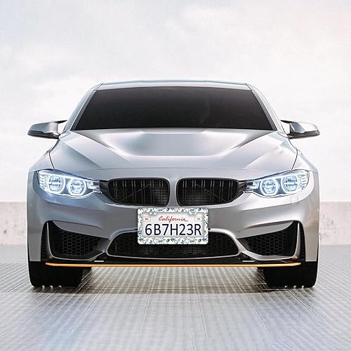 Miniatura 5 de Marcos de matrícula de flores azules  Juego de 2 piezas de 2 agujeros de acero inoxidable de metal para automóvil, accesorios de automóvil,