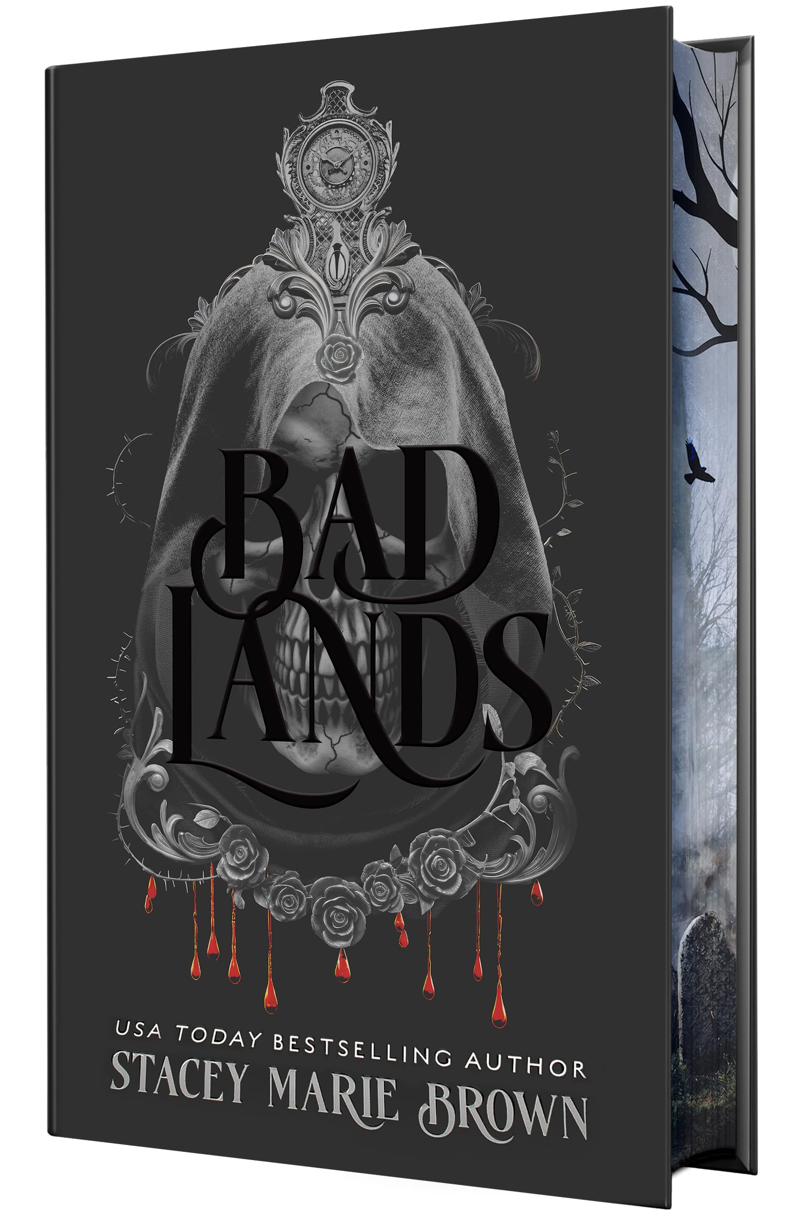 Cover of Bad Lands (The Savage Lands Series)