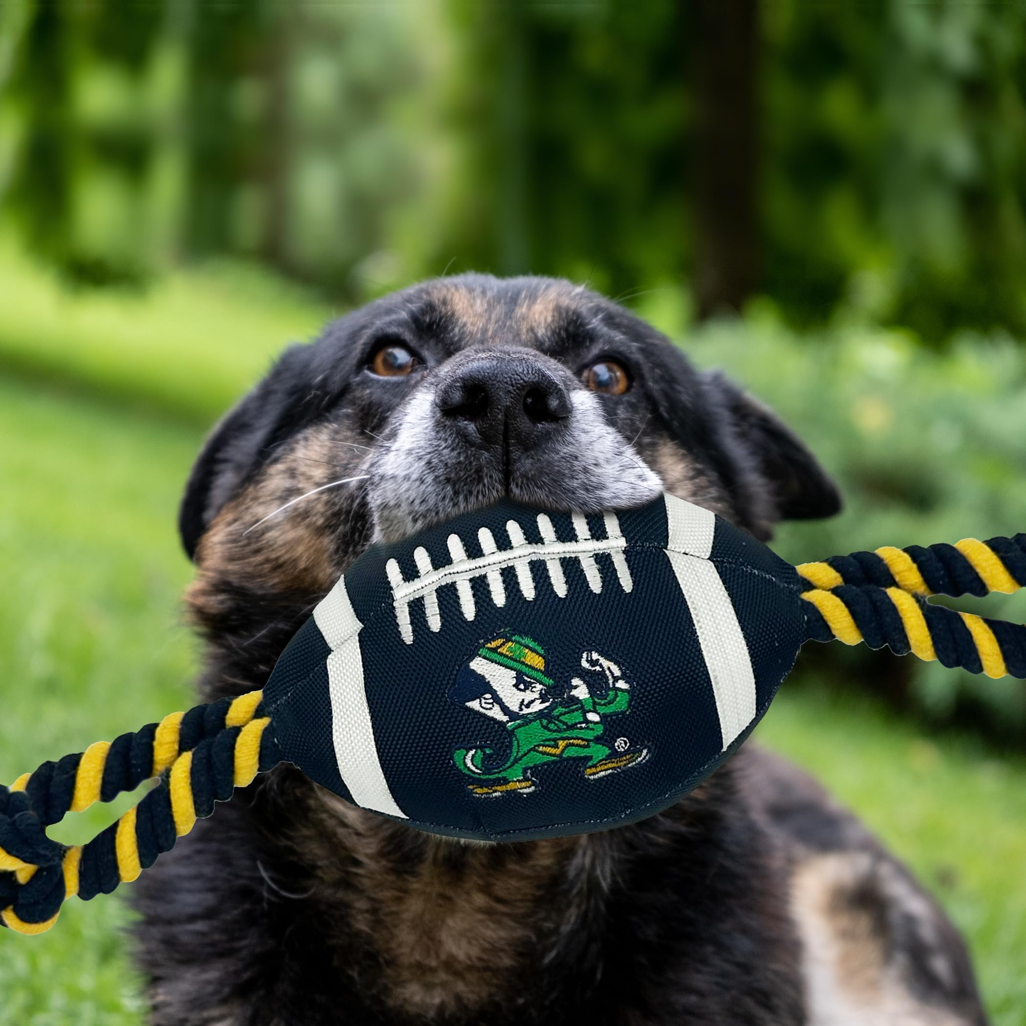 Pet Supplies : Pets First Notre Dame Football Dog Toy, Tough