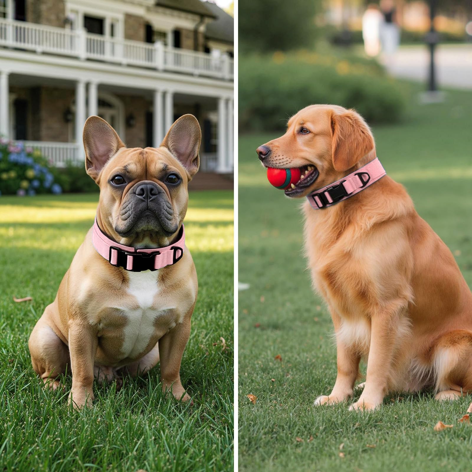 Collare per cani tattico resistente, anello a D in metallo, regolabile, resistente, con fibbia a sgancio rapido, per cani di taglia media e grande (rosa, M: 15-17)
