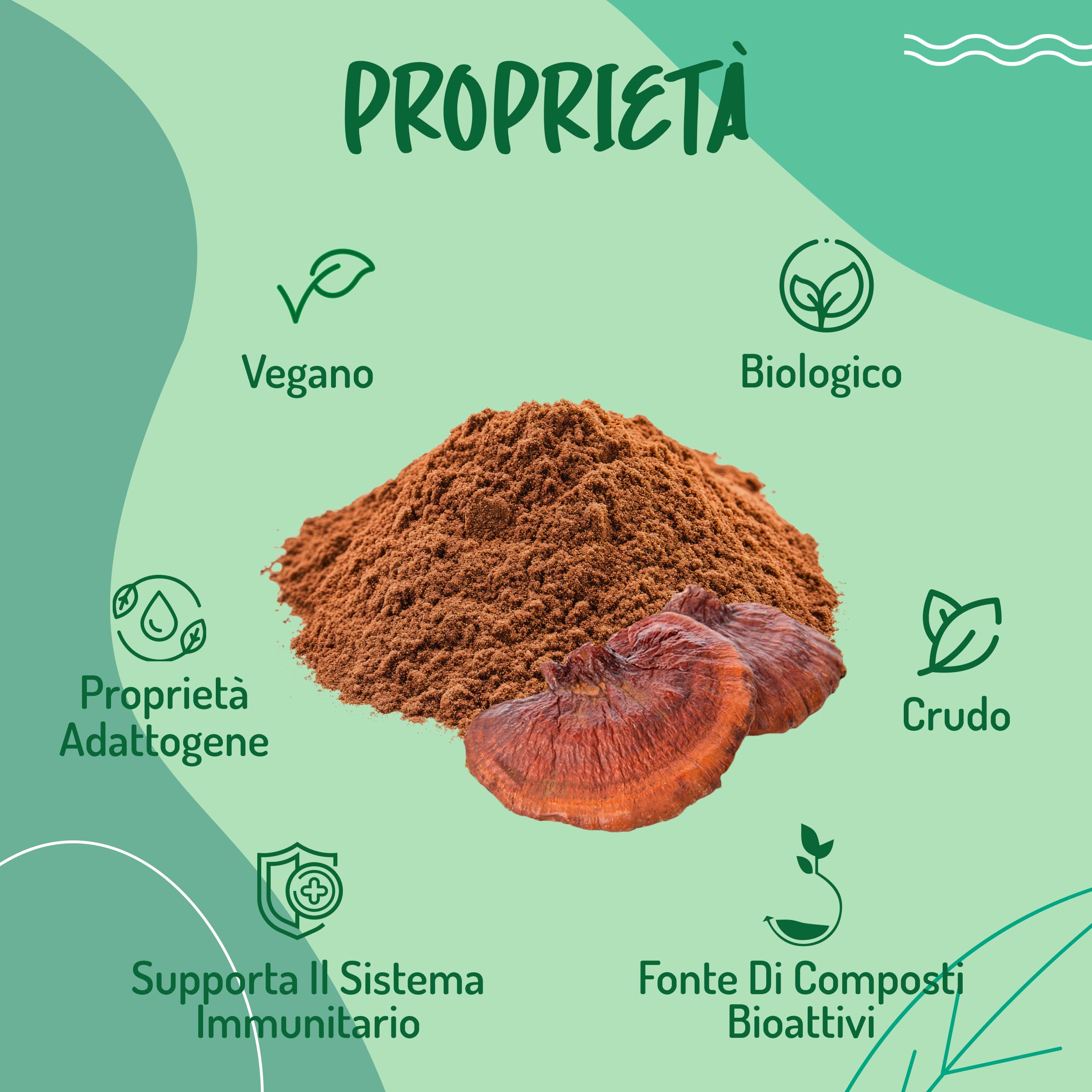 Reishi Ganoderma Lucidum Puro e Bio in Polvere - 300g. Fungo Reishi Biologico Essiccato al Sole e Macinato a Basse Temperature. Funghi medicinali Fonte di Antiossidanti, Fungo Cinese Reishi