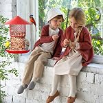 Bird Feeders for Outside Squirrel Proof. Cardinal Bird Feeder. Metal Squirrel Proof Bird Feeders. Wild Bird Feeder Hanging for Garden Yard Outside Decoration - 3.5 Lb
