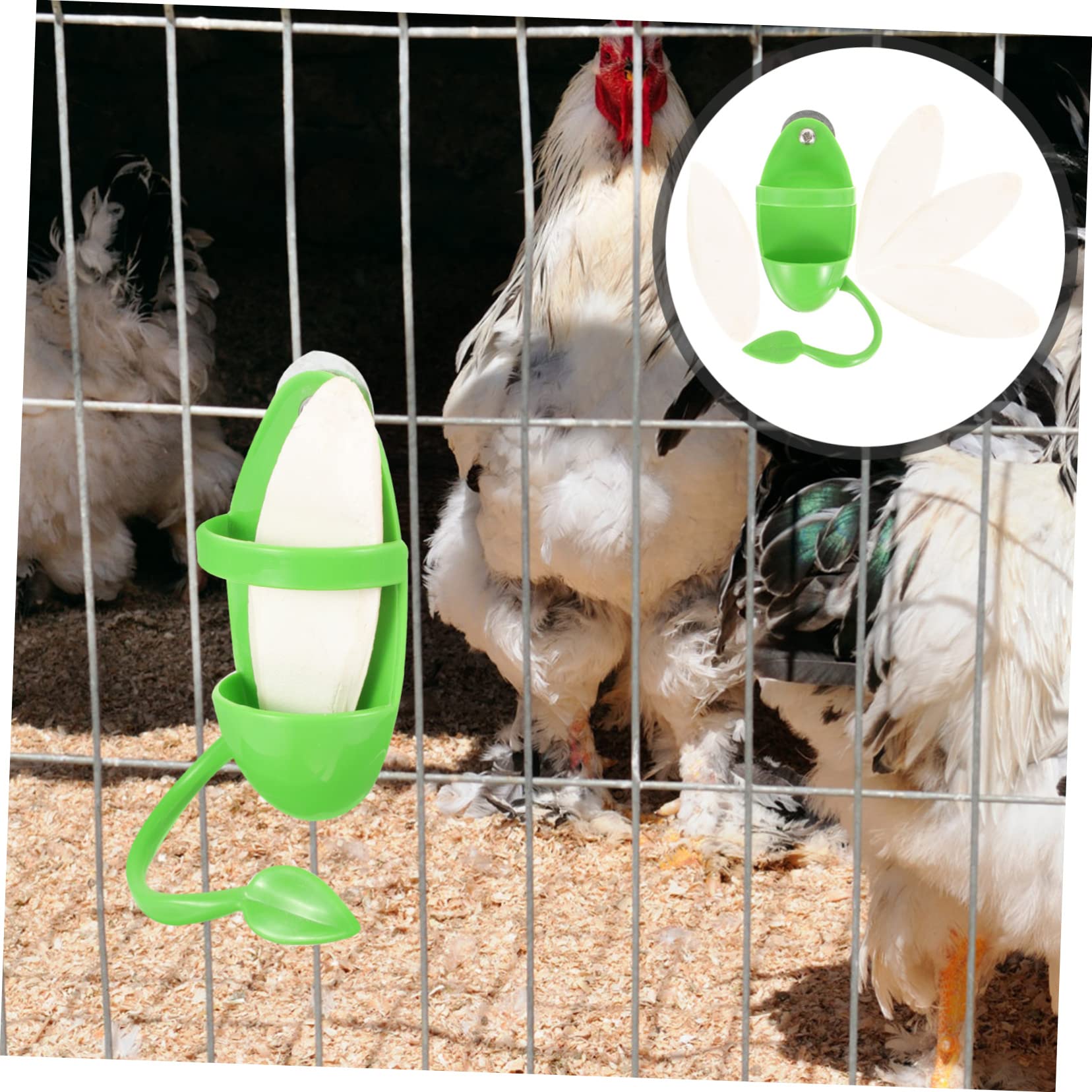 Kisangel Lot De 4 Mangeoires À Oiseaux en De Seiche pour Perroquets Bols Suspendus Accessoires pour Cage À Oiseaux