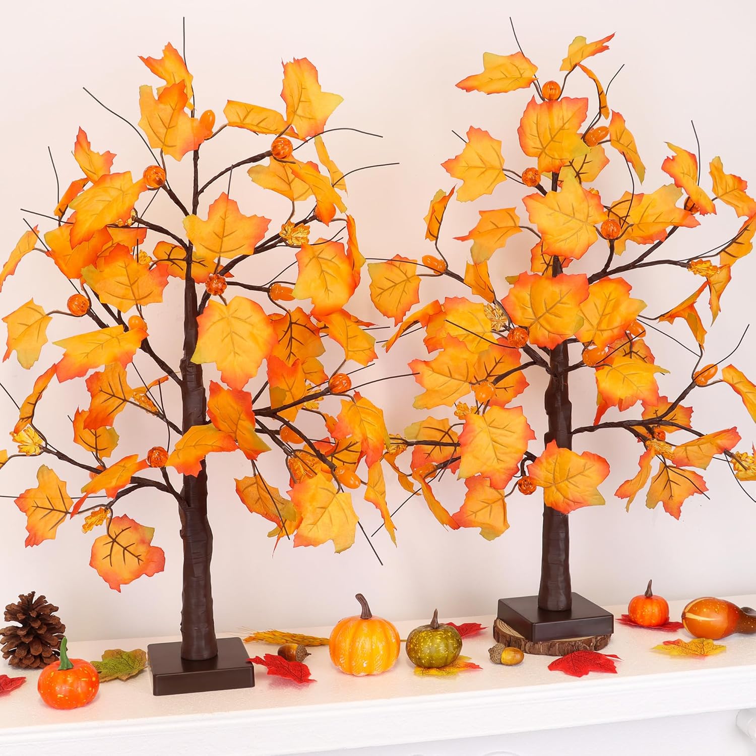 2 Pack 24 Inch Fall Maple Tree with 48LED Battery Operated Lighted Tabletop Artificial Tree with Pumpkin Acorn Maple Fall Centerpieces Indoor Fall Decorations for Home Office Thanksgiving Table Decor