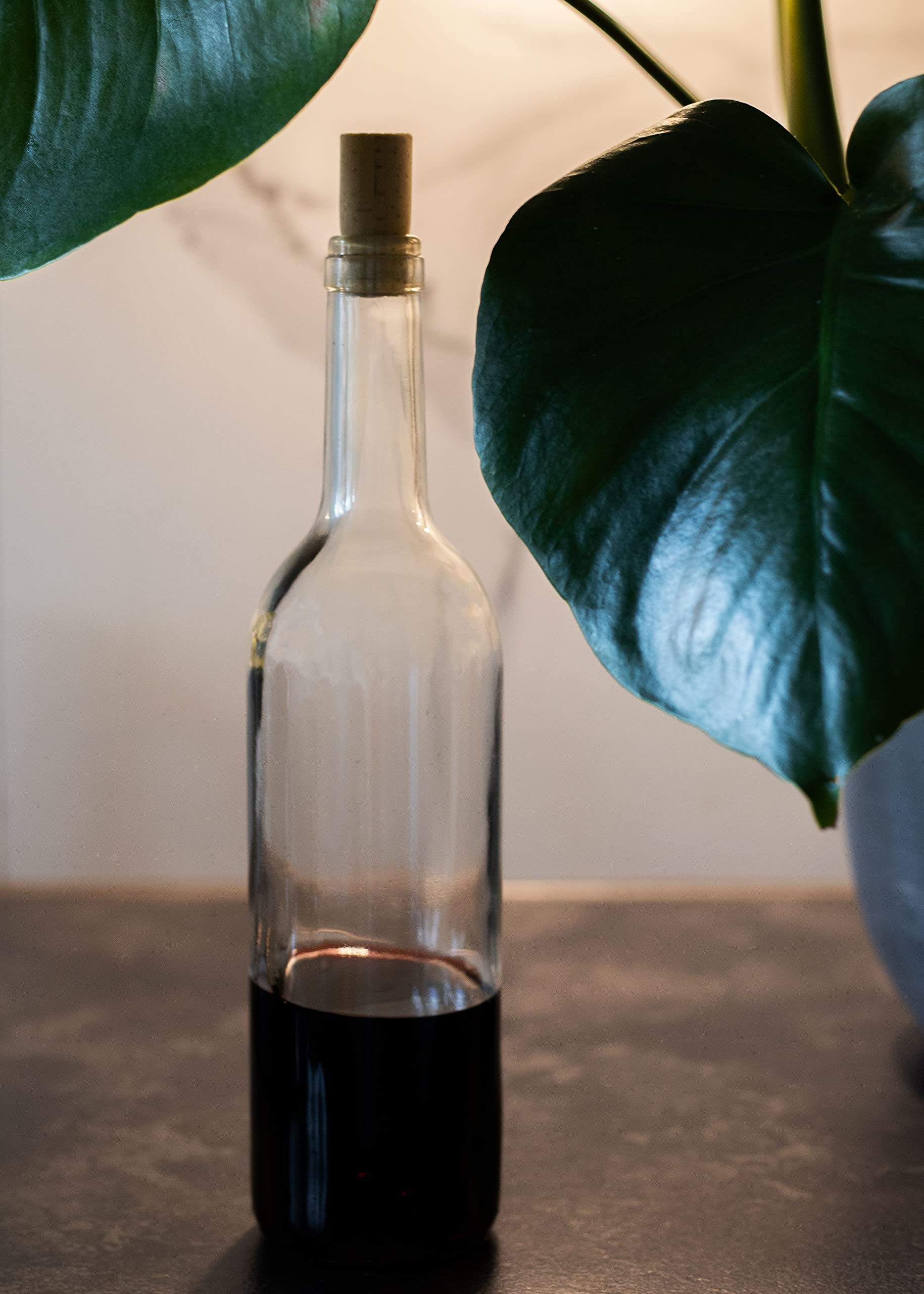 Bouteille 750ml Bordeaux 32 pièces avec bouchon - Bouteilles de vin vide pour brasserie à la maison - Boîte de rangement pour boissons - Décoration de service - En verre transparent