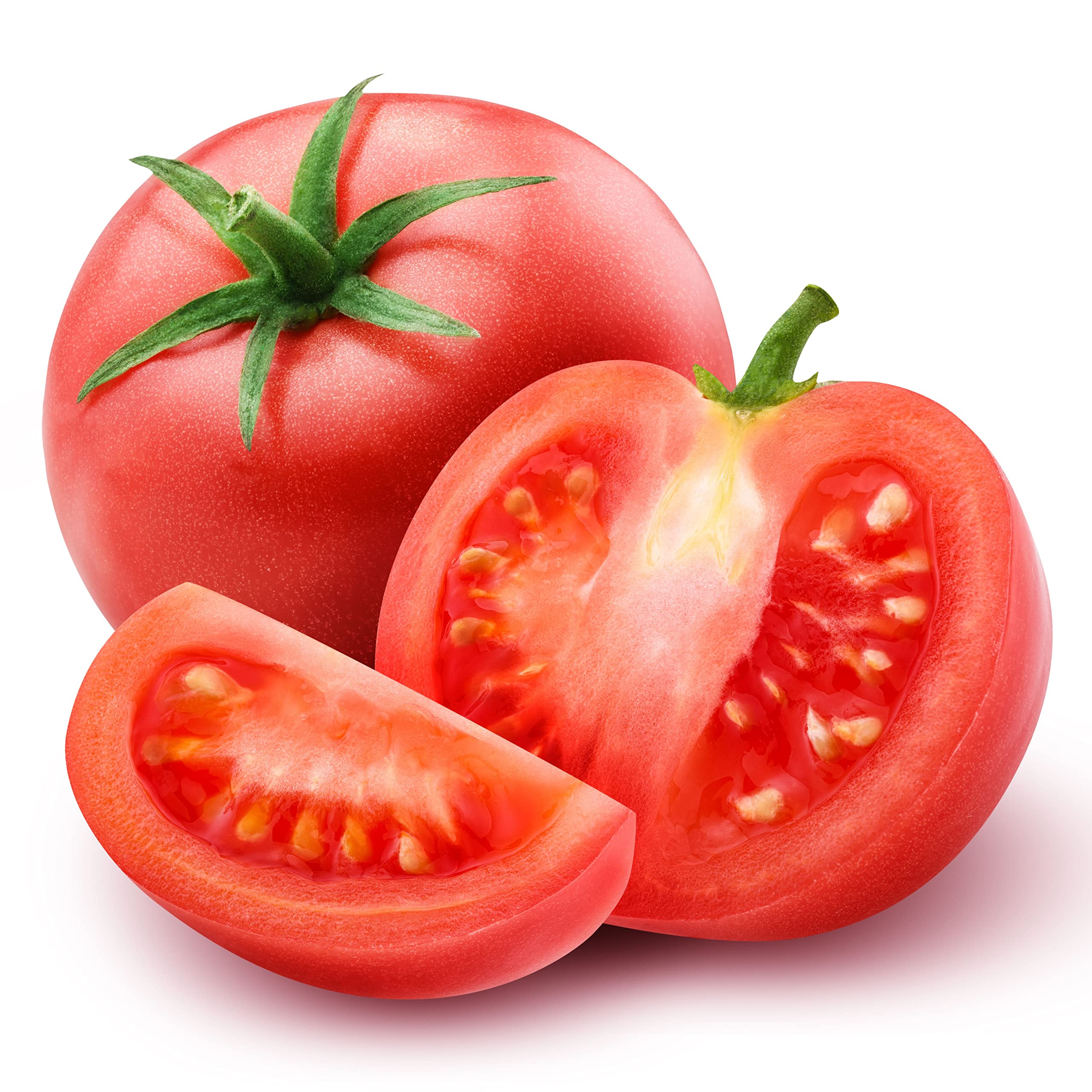 Tomato Plants, 'Ailsa Craig', 5 x Large Plants in 9cm Pots, Tomato Plants Ready to Plant Now, Tomatoes, Garden Ready, Premium Quality Tomatoes