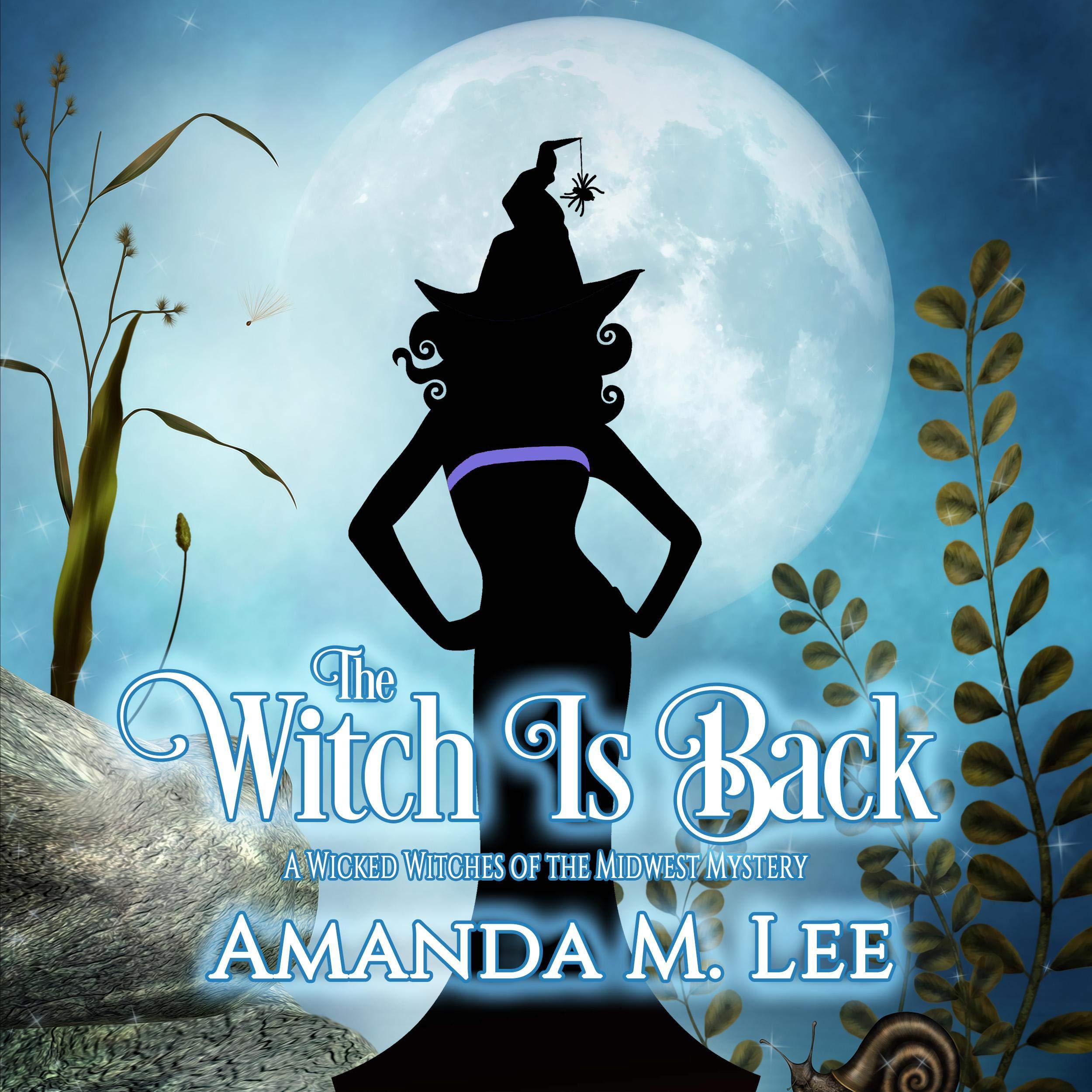 Cover art for The Witch Is Back