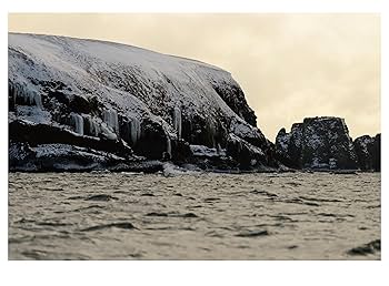The Horses of Yururi Island ユルリ島の馬 | 岡田敦 |本 | 通販