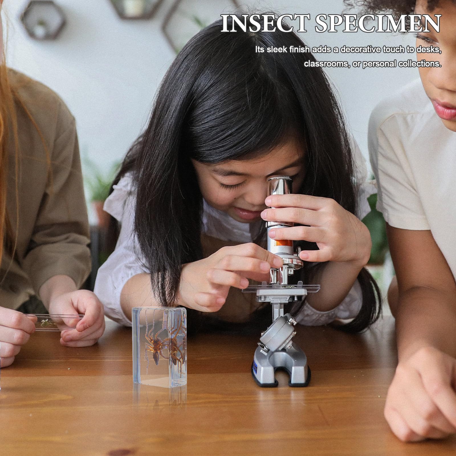 Set da 6 Pezzi di Insetti in Resina per Collezione e Decorazione da Scrivania, Esemplari Conservati Artigianato Elegante per Educazione Scientifica e Arredamento Casa