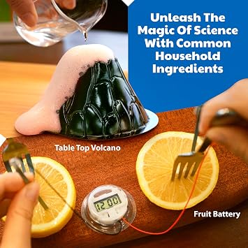 Rhode Island Novelty (T) KidzLabs/Kitchen Science